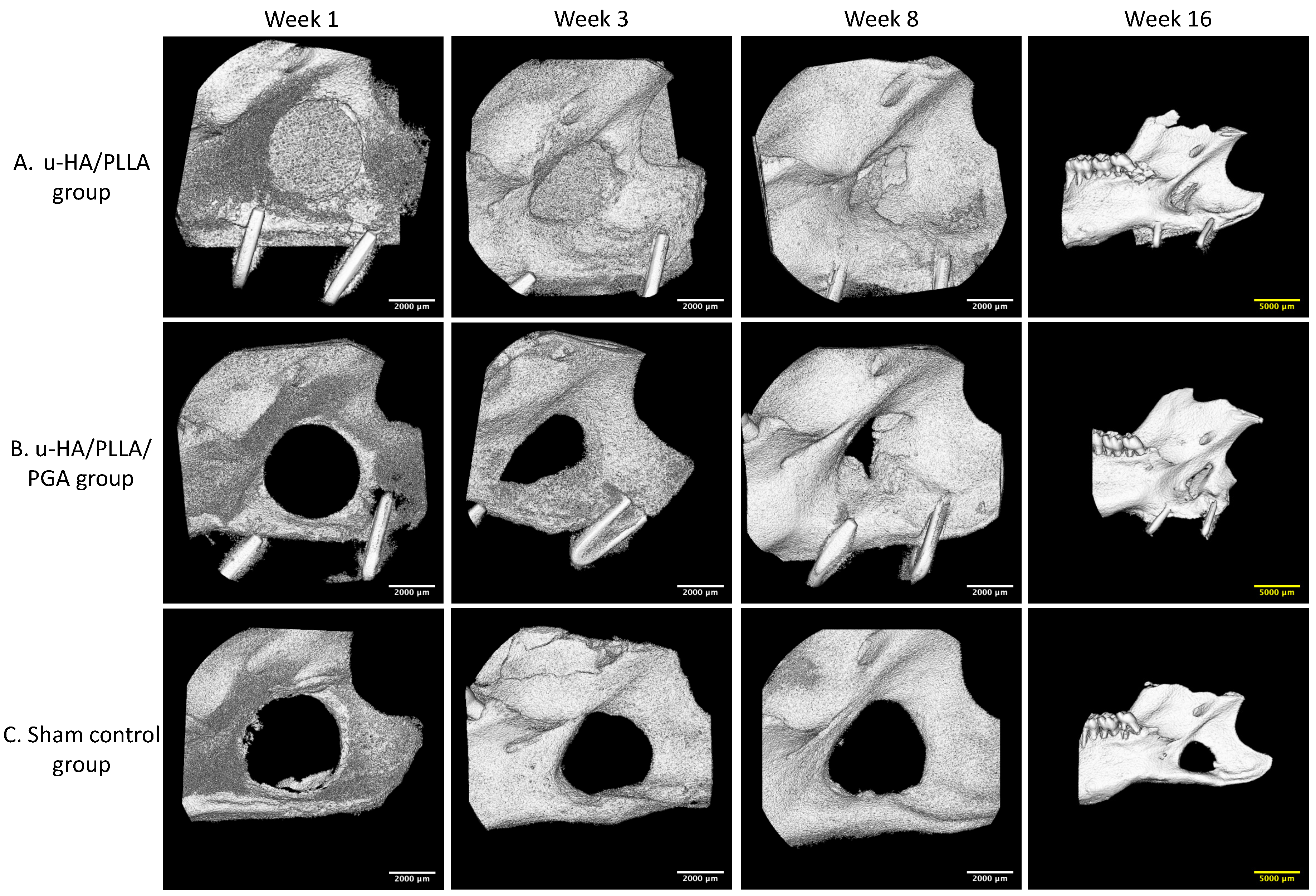 Nanomaterials 11 00022 g007 Nanomaterials 11 00022 g007