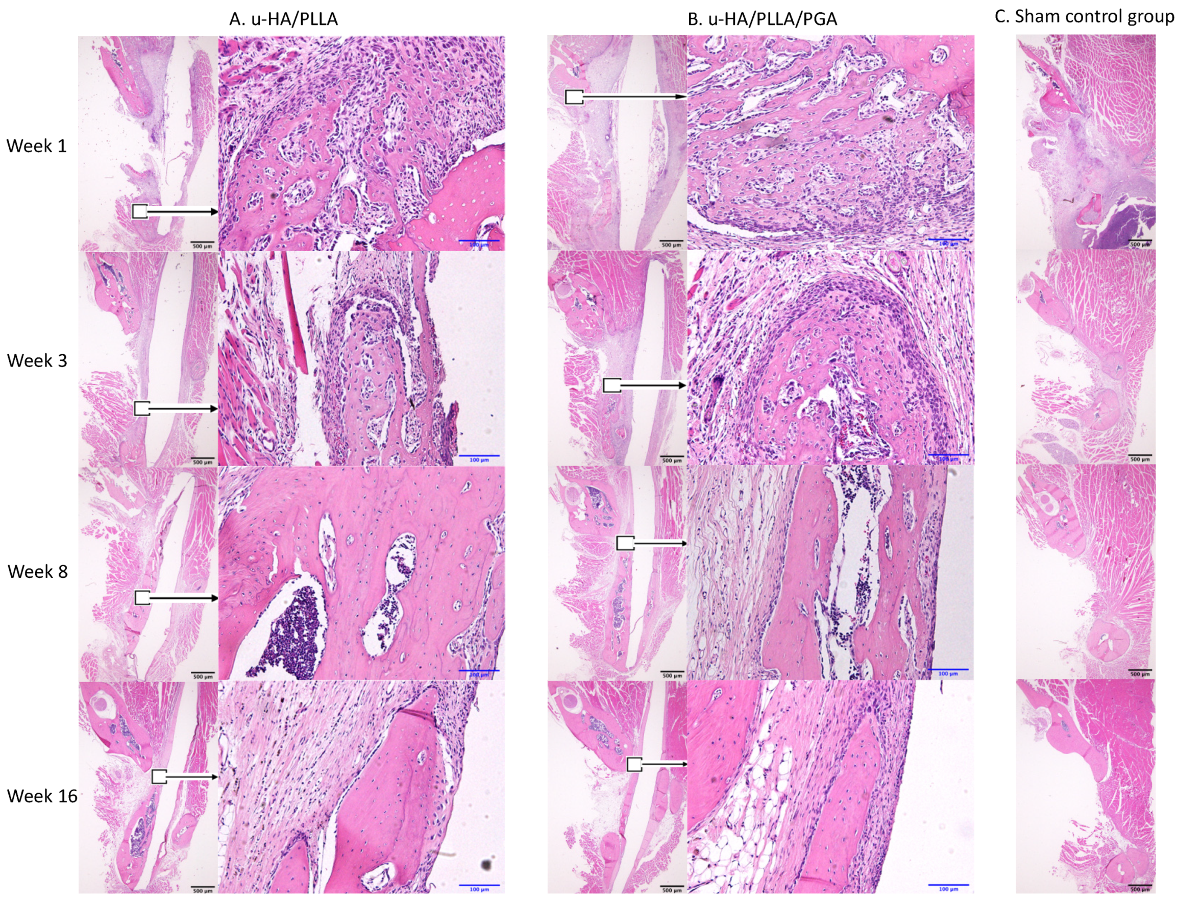Nanomaterials 11 00022 g009 Nanomaterials 11 00022 g009