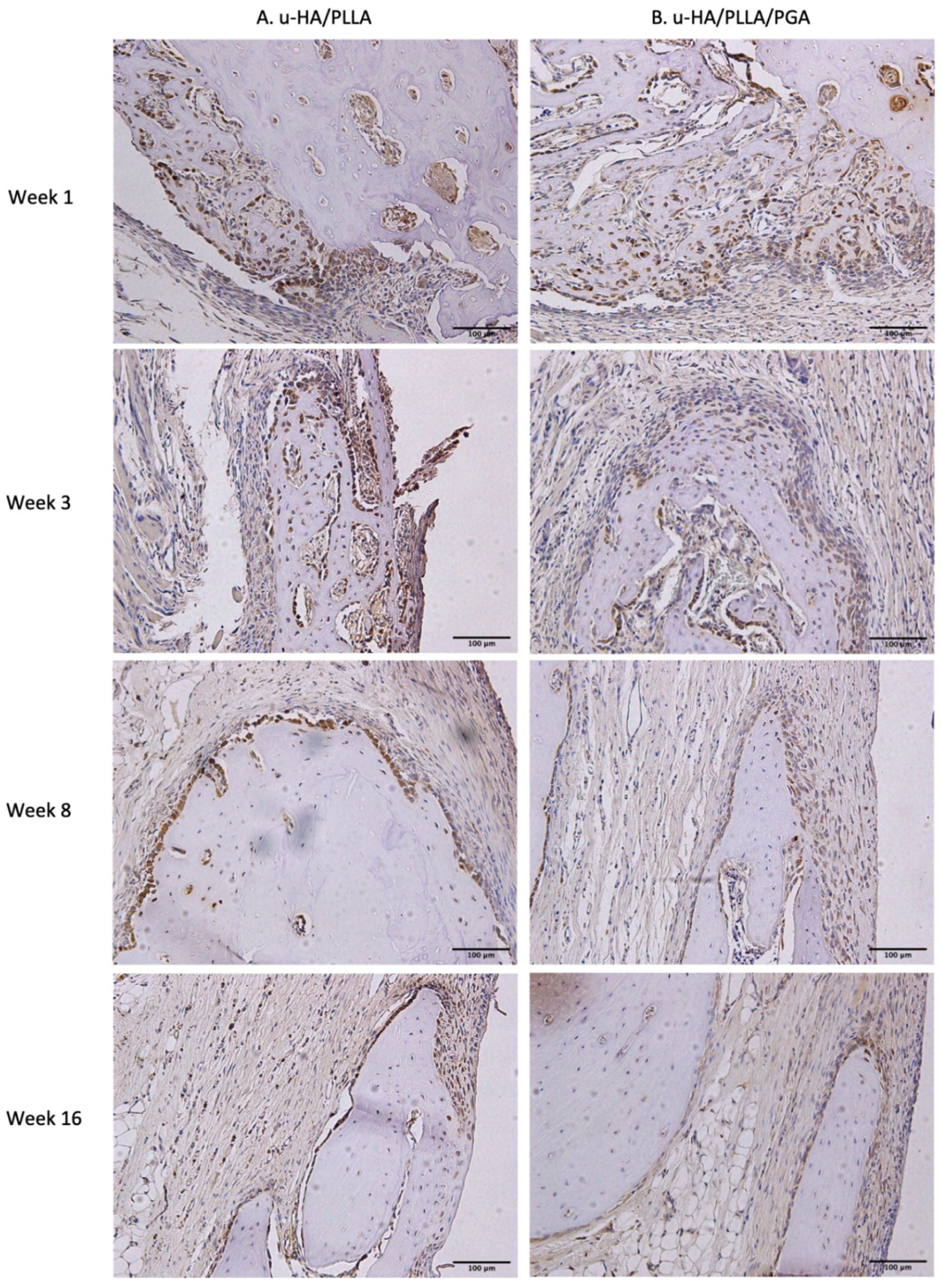 Nanomaterials 11 00022 g013 Nanomaterials 11 00022 g013