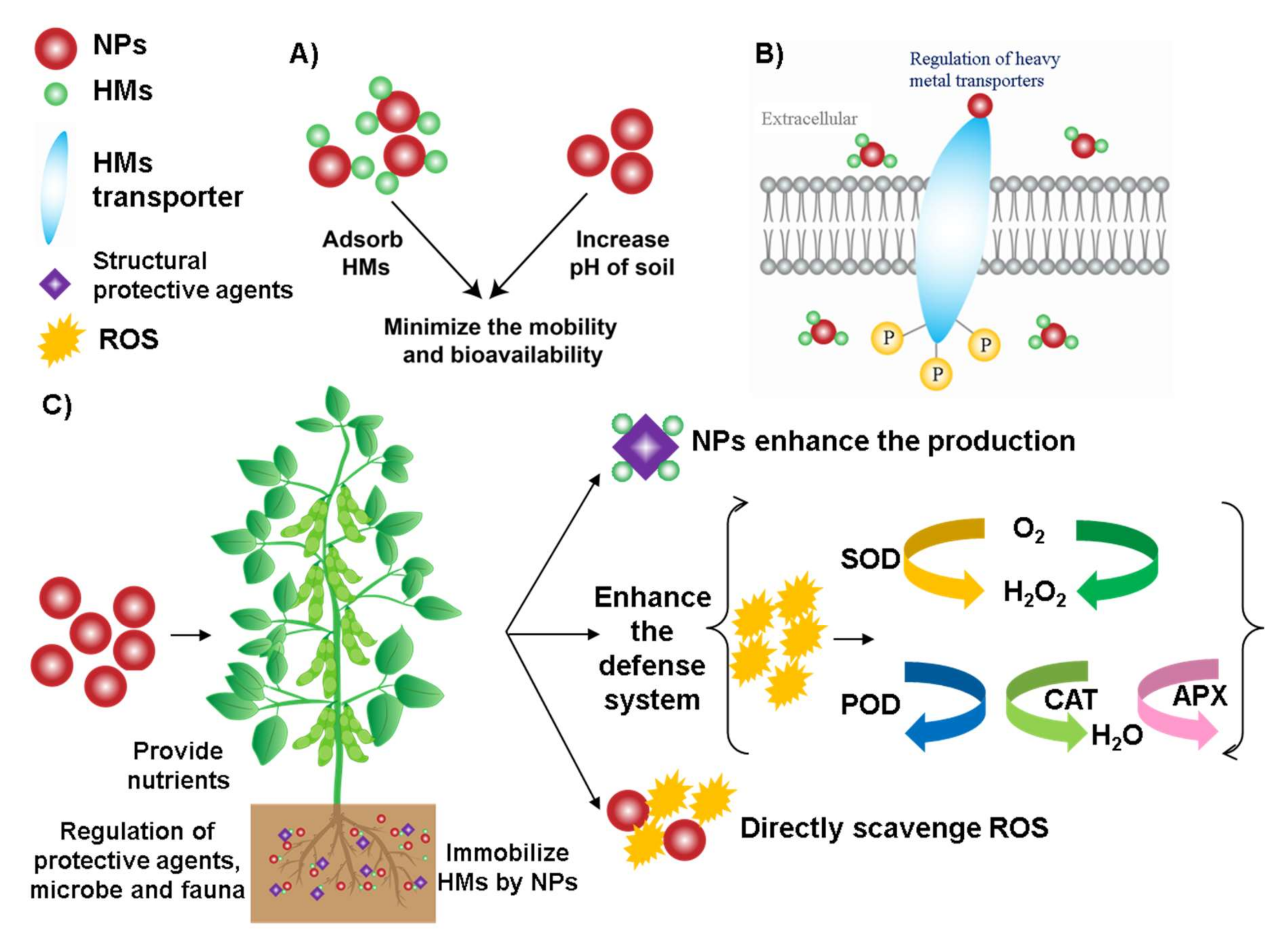Nanomaterials 11 00026 g003 Nanomaterials 11 00026 g003