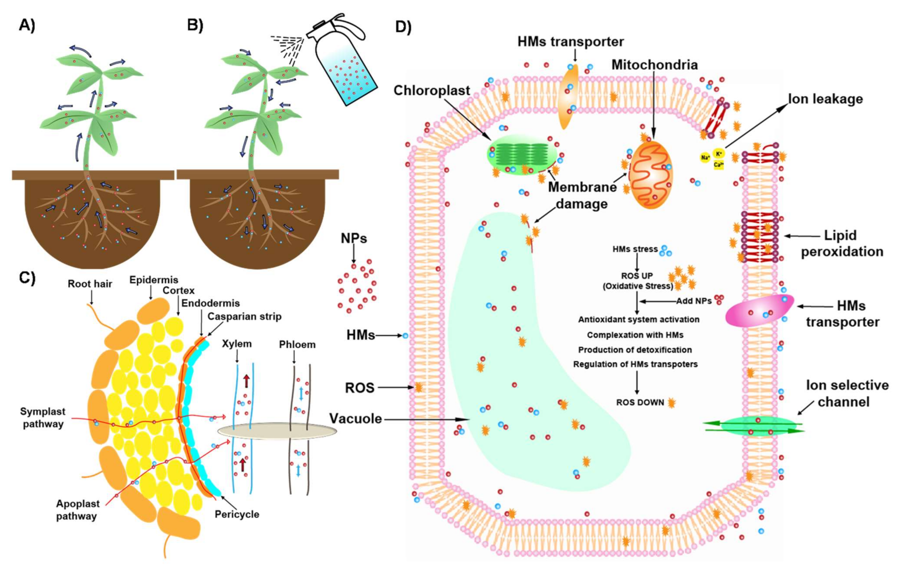 Nanomaterials 11 00026 g004 Nanomaterials 11 00026 g004