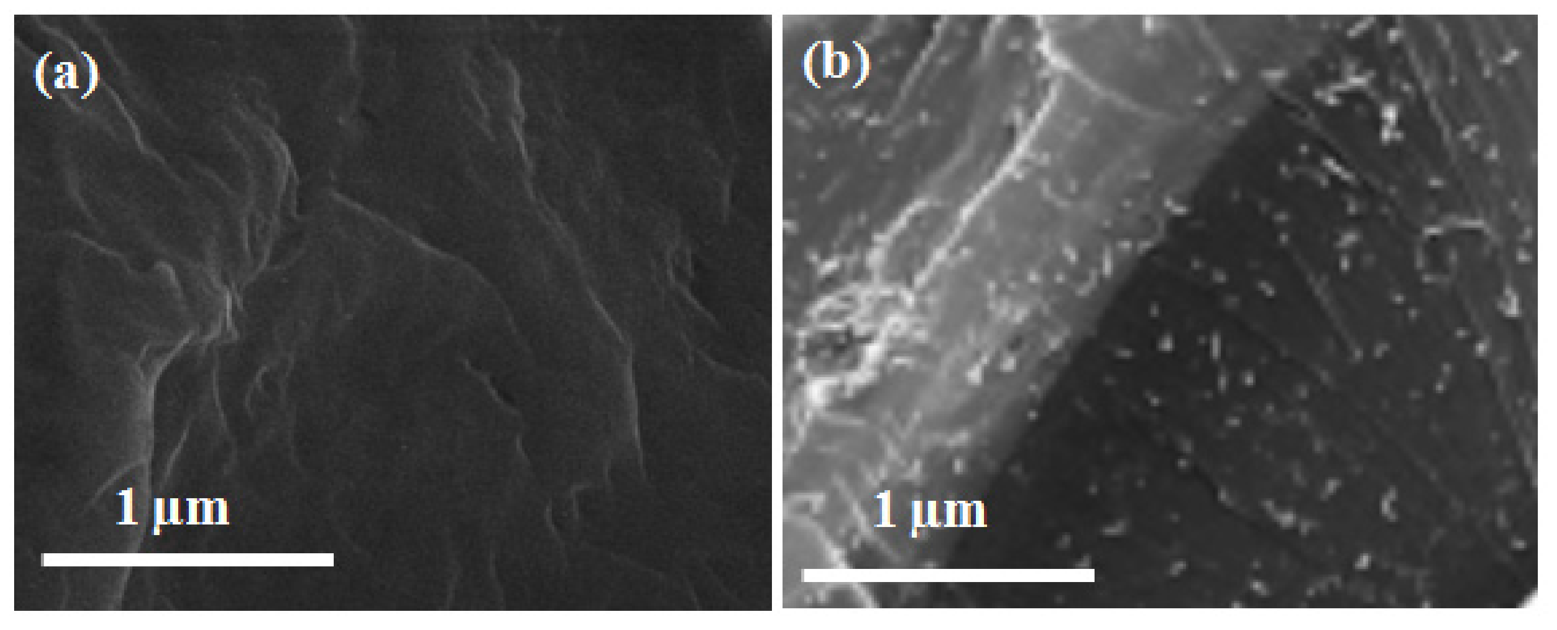 Nanomaterials 11 00029 g003