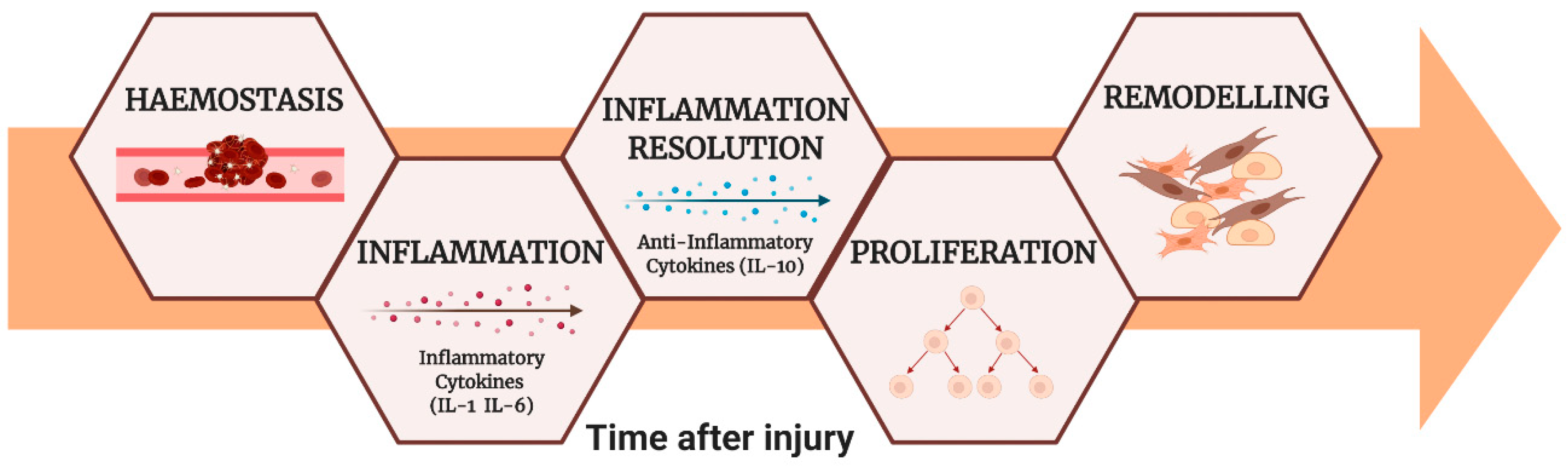Nanomaterials 11 00036 g001