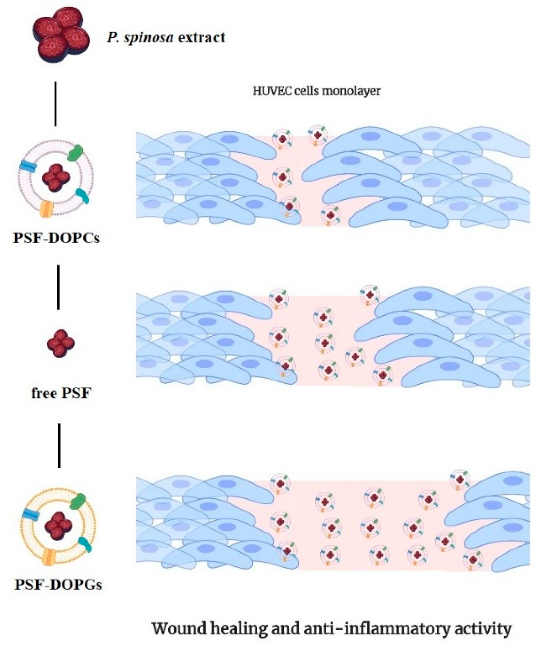 Nanomaterials 11 00036 g007