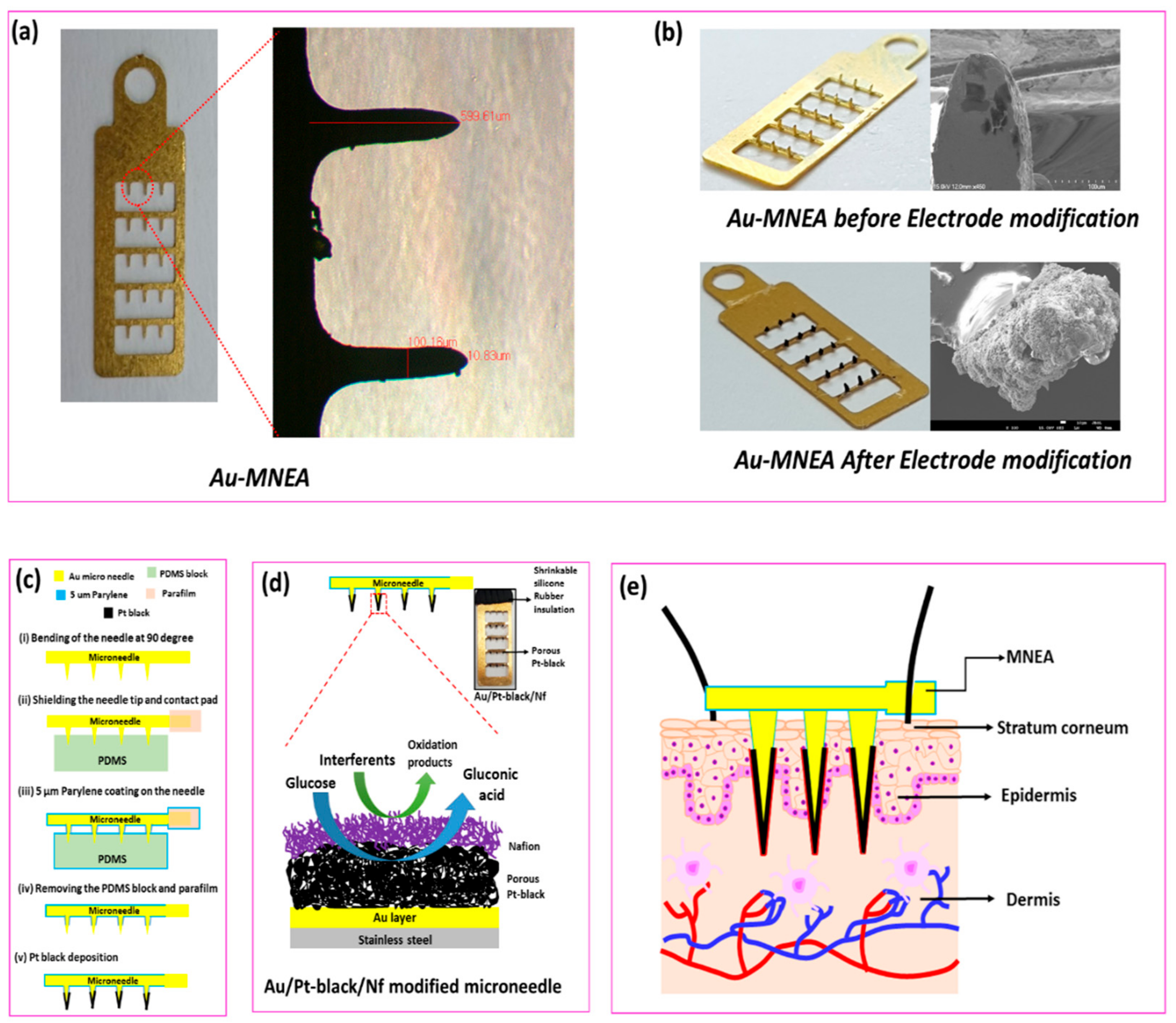 Nanomaterials 11 00037 g001