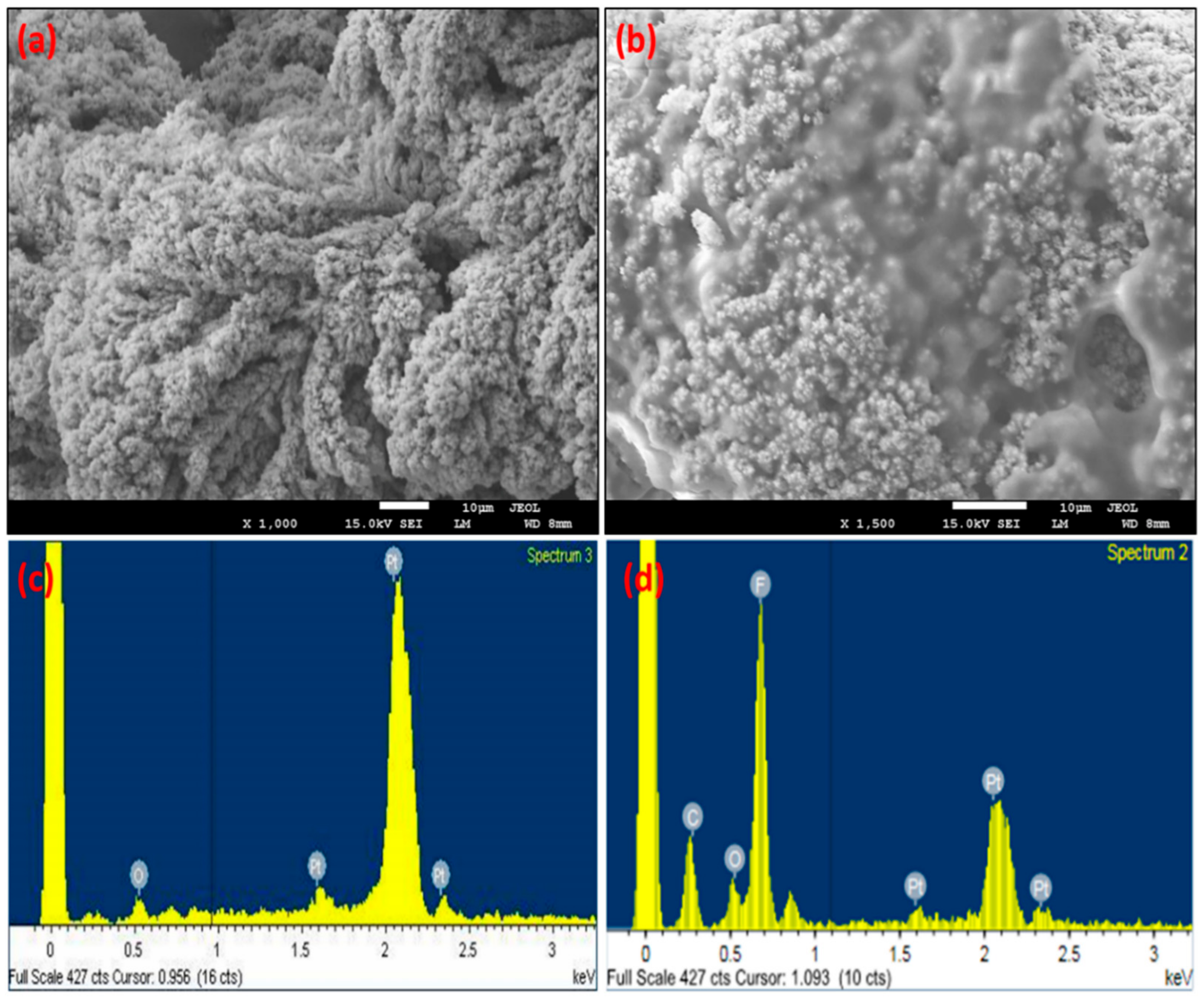 Nanomaterials 11 00037 g002