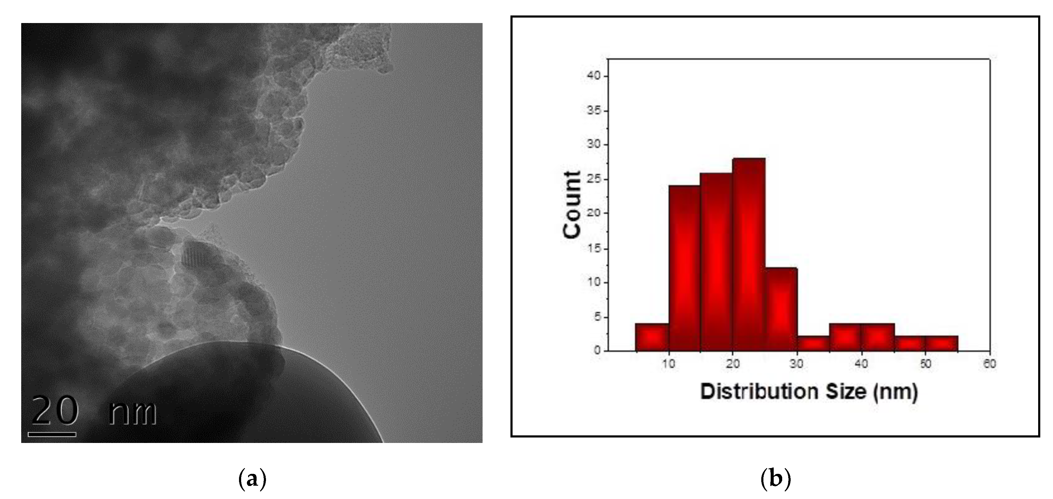 Nanomaterials 11 00057 g006