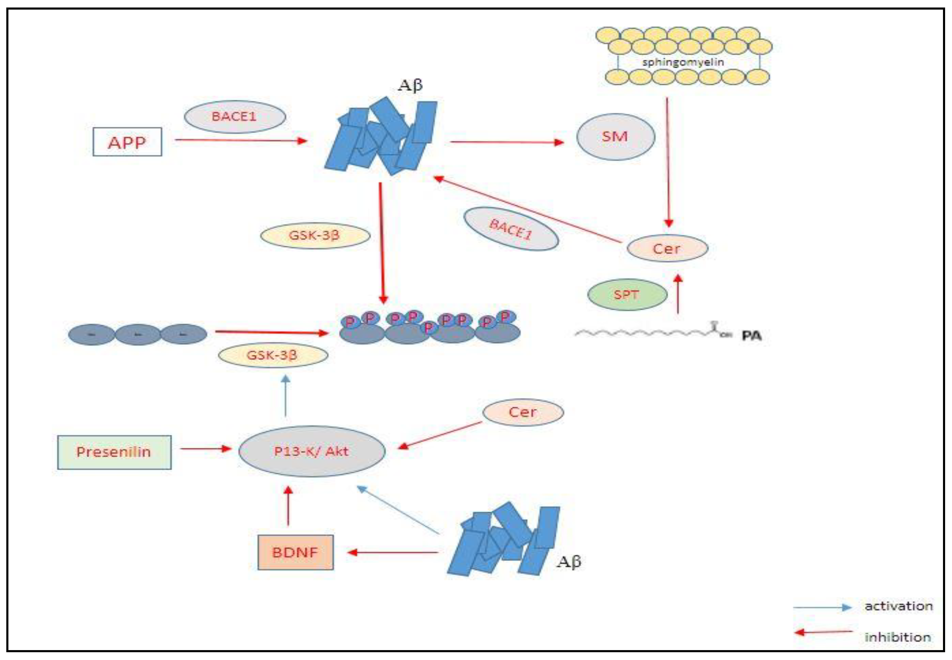 Nanomaterials 11 00059 g002 Nanomaterials 11 00059 g002