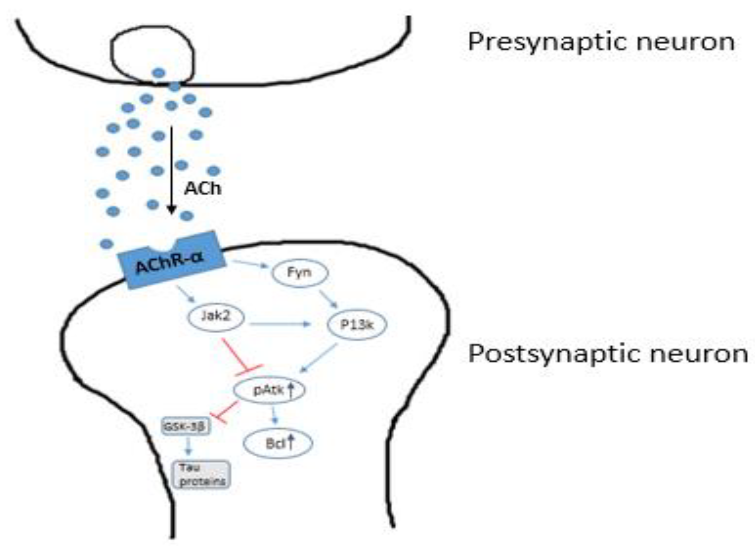 Nanomaterials 11 00059 g003 Nanomaterials 11 00059 g003