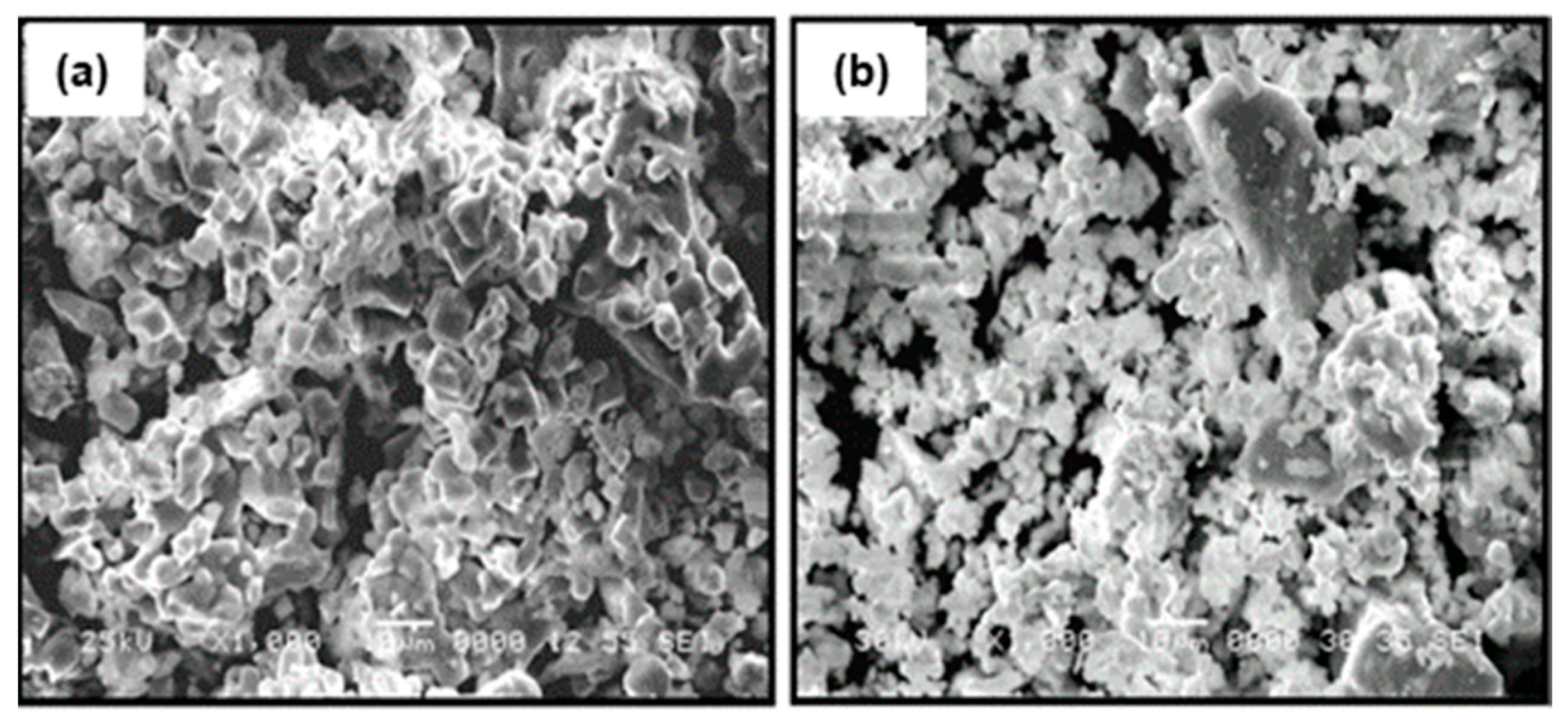 Nanomaterials 11 00061 g003