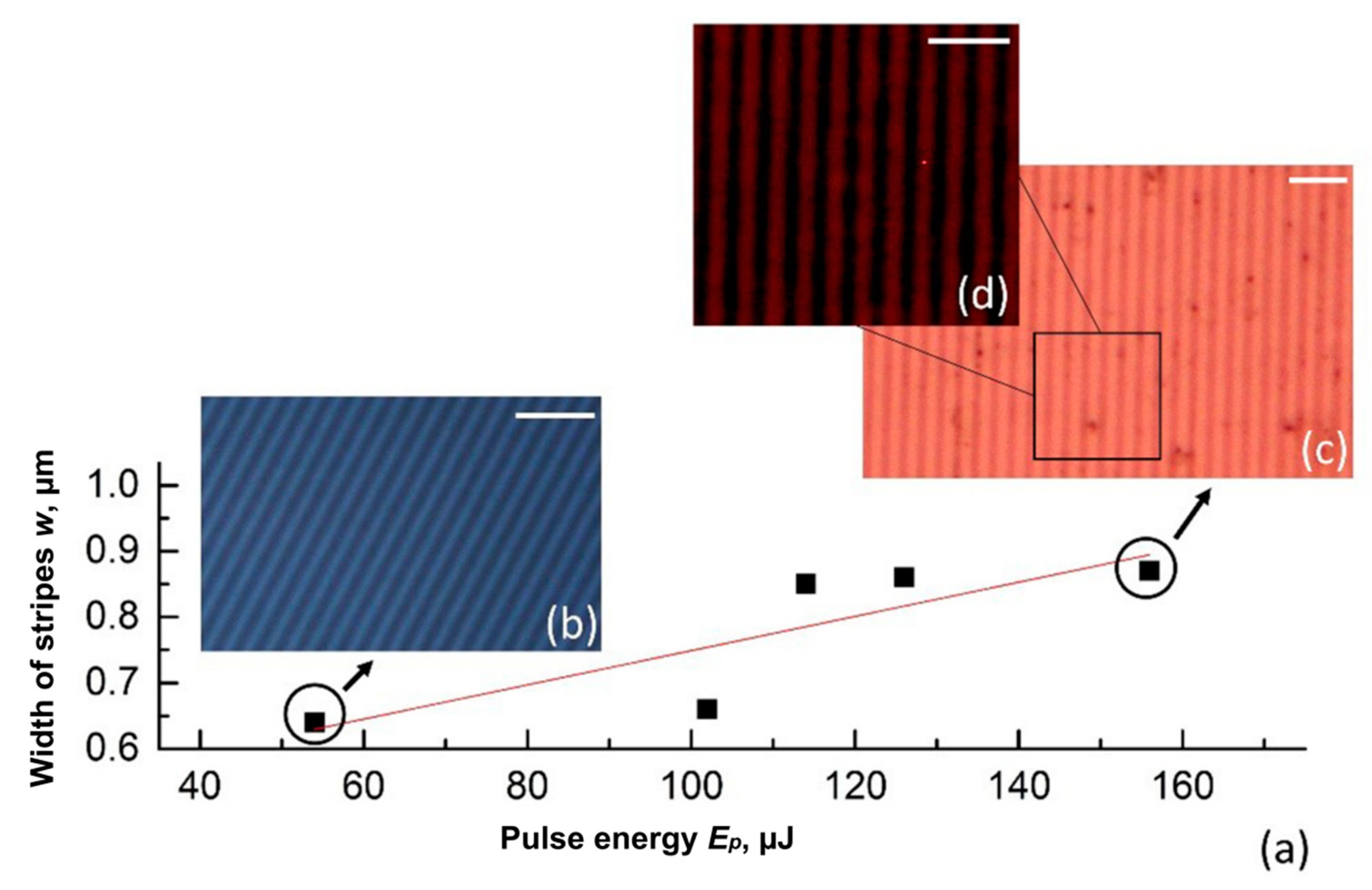Nanomaterials 11 00067 g004 Nanomaterials 11 00067 g004