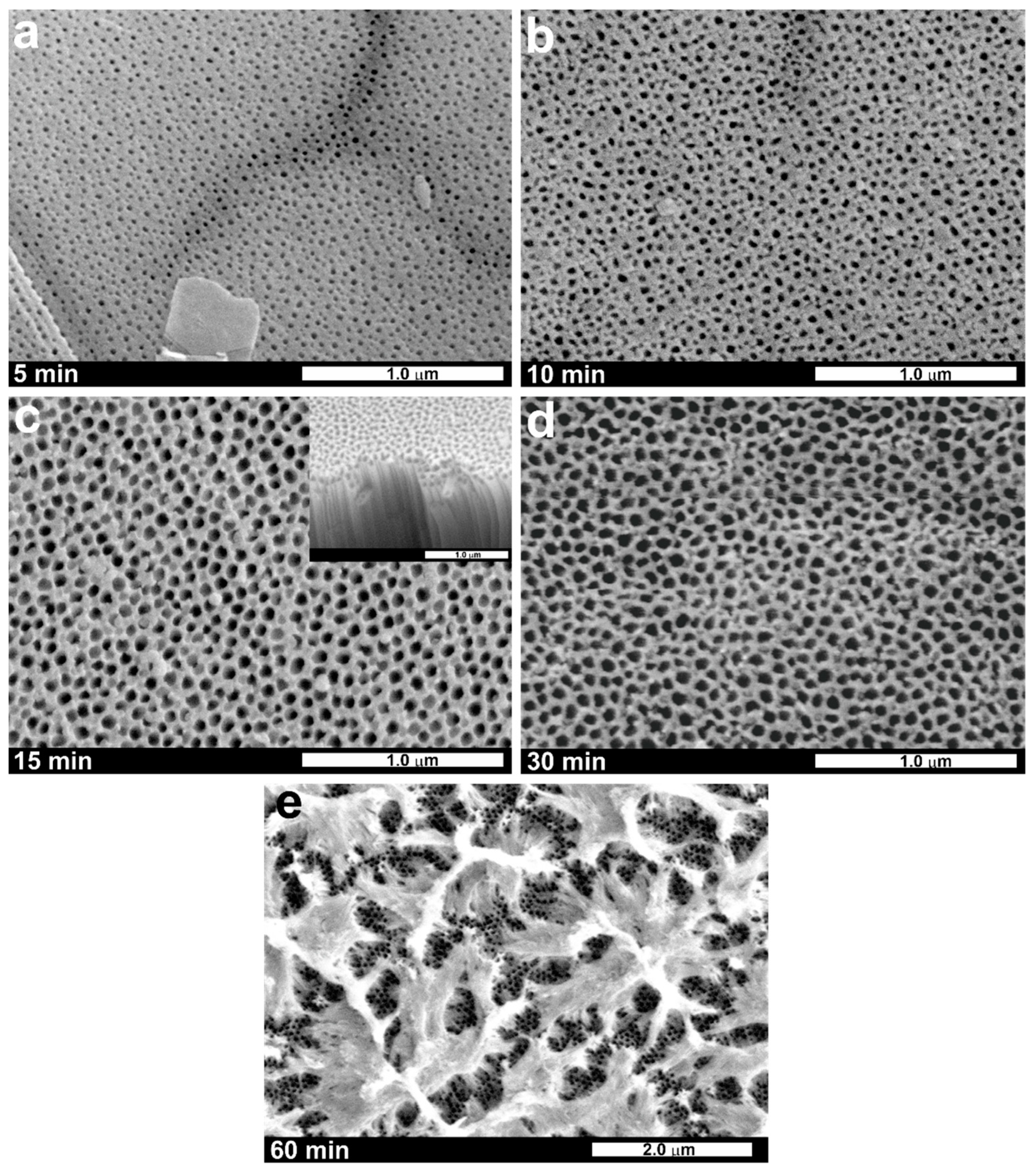 Nanomaterials 11 00068 g002 Nanomaterials 11 00068 g002