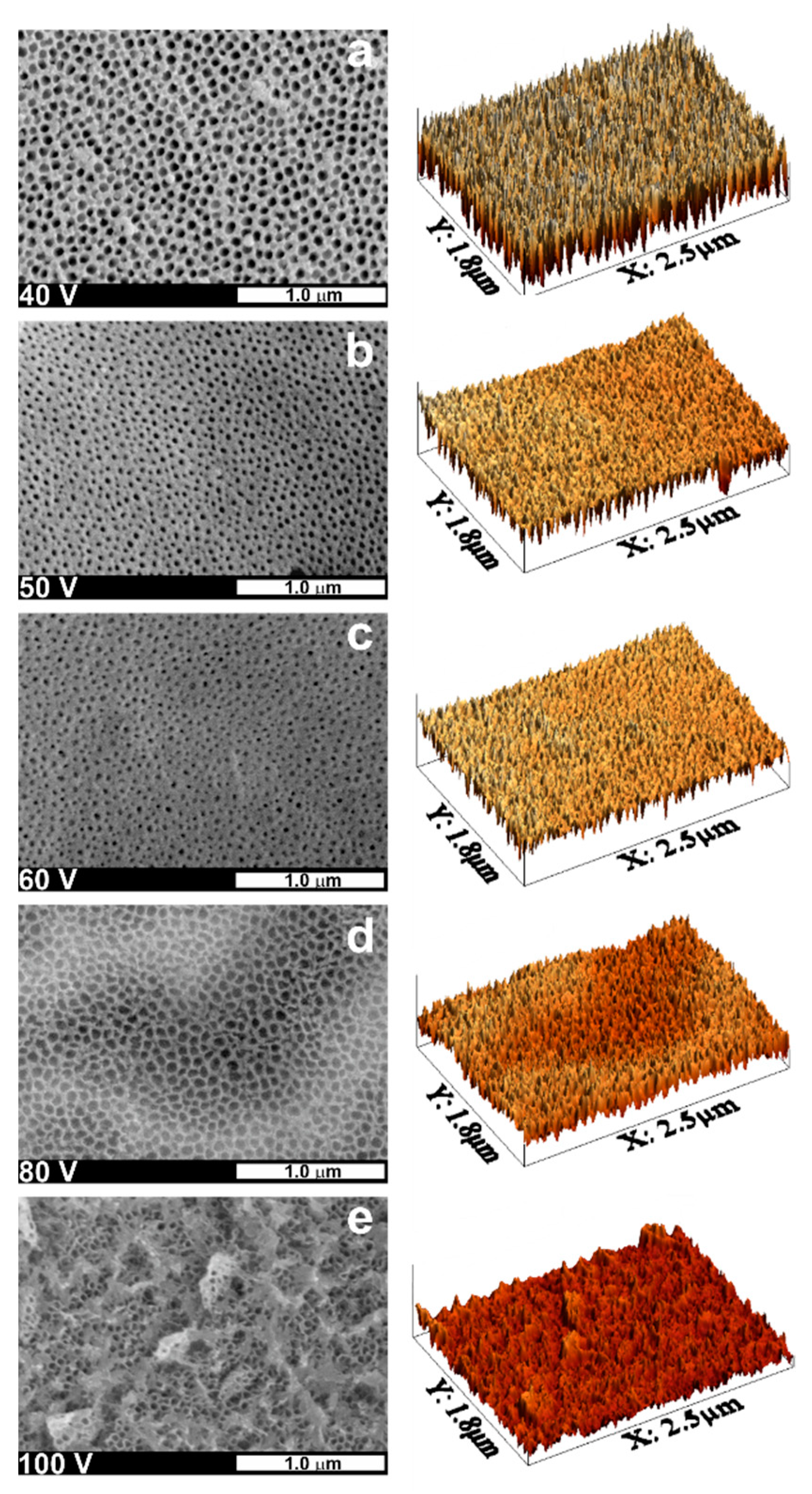 Nanomaterials 11 00068 g004 Nanomaterials 11 00068 g004