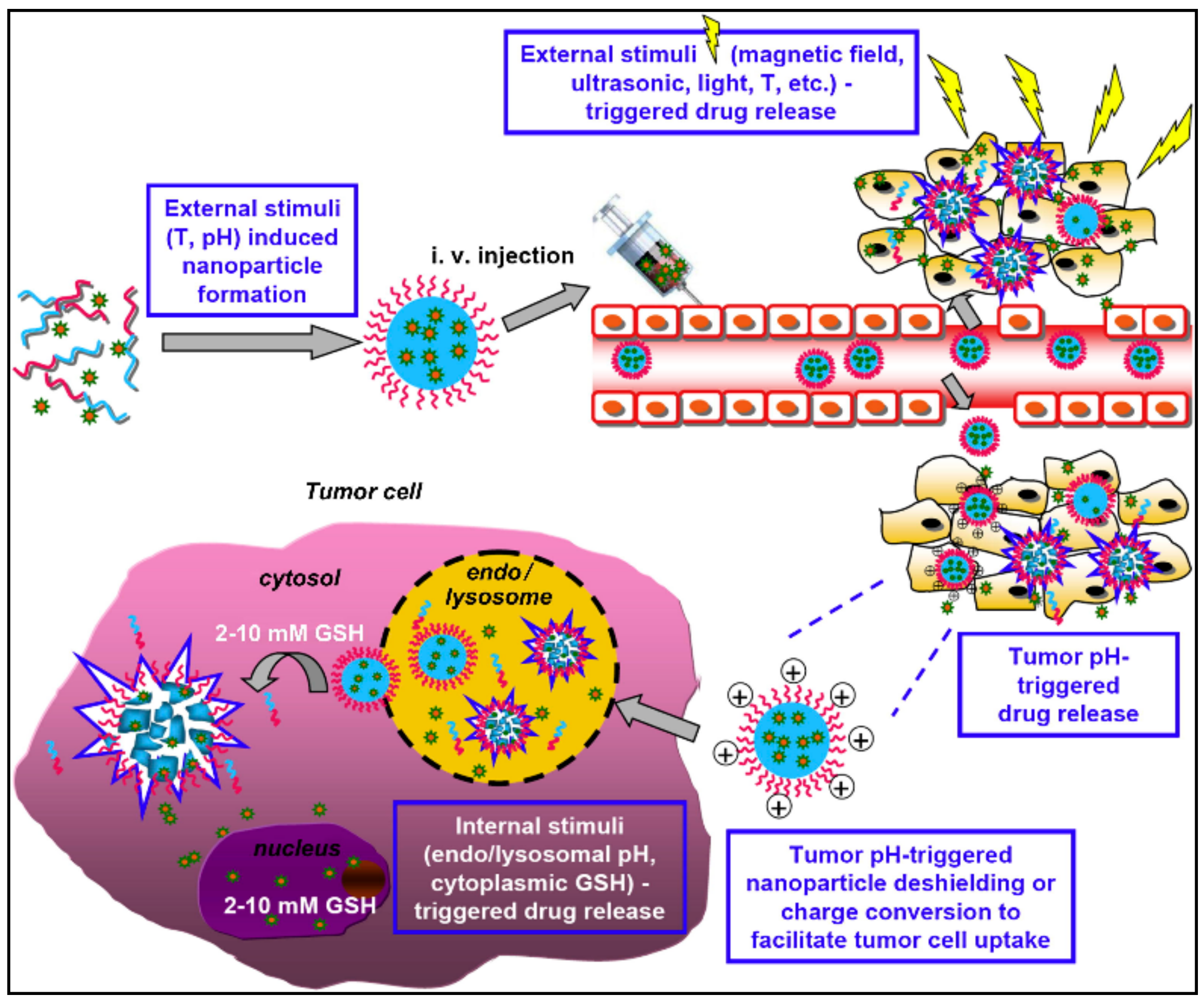 Nanomaterials 11 00070 g006 Nanomaterials 11 00070 g006