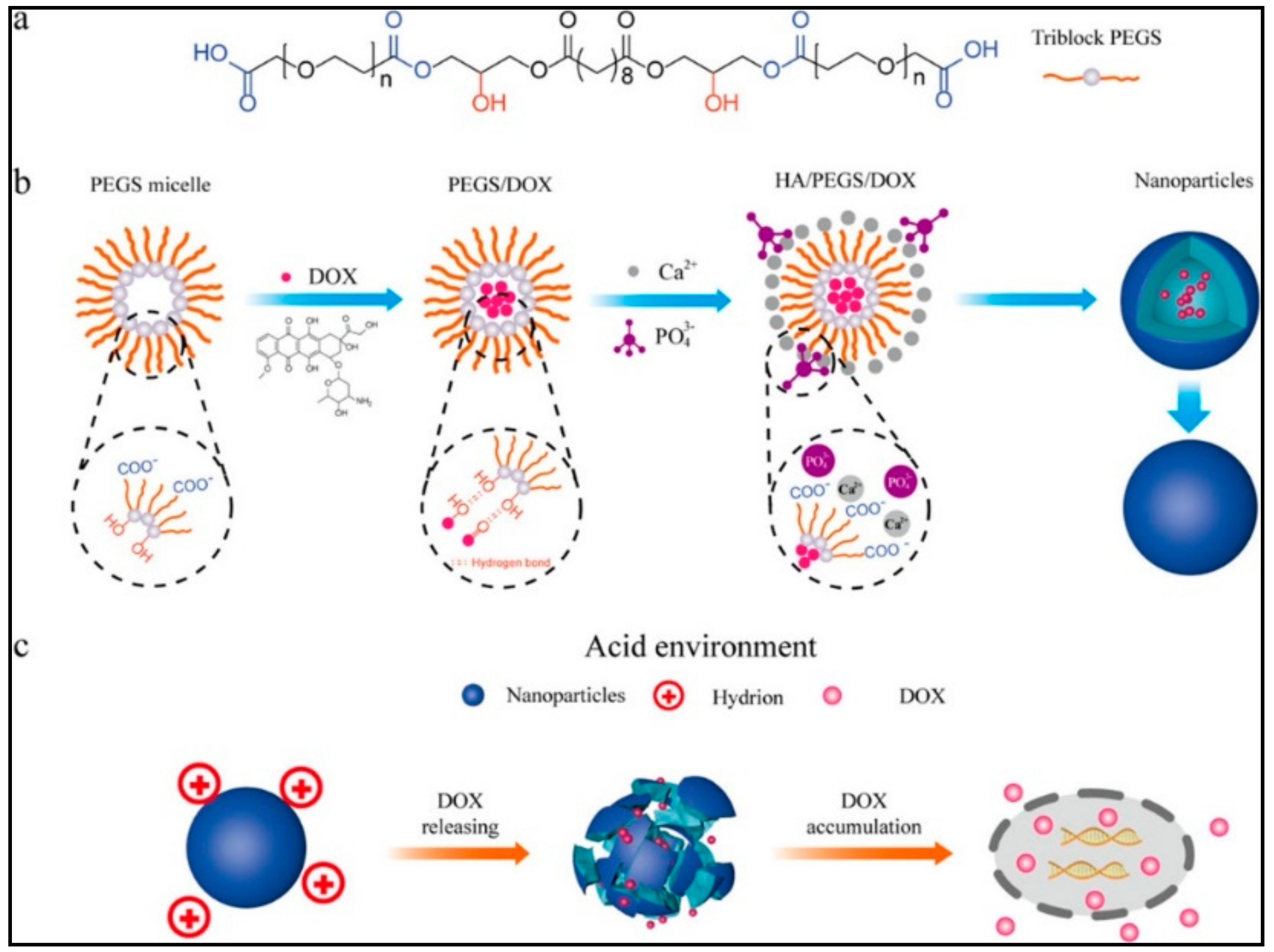 Nanomaterials 11 00070 g007 Nanomaterials 11 00070 g007