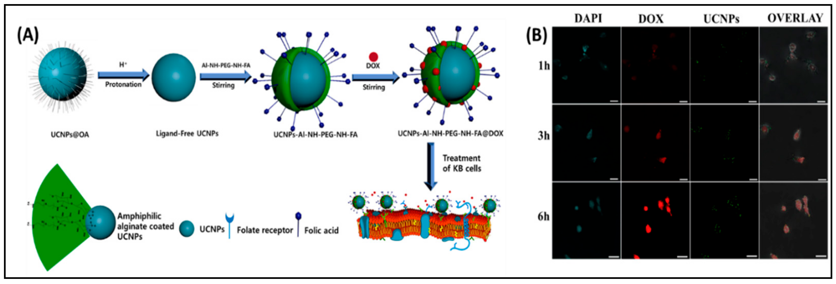 Nanomaterials 11 00070 g008 Nanomaterials 11 00070 g008