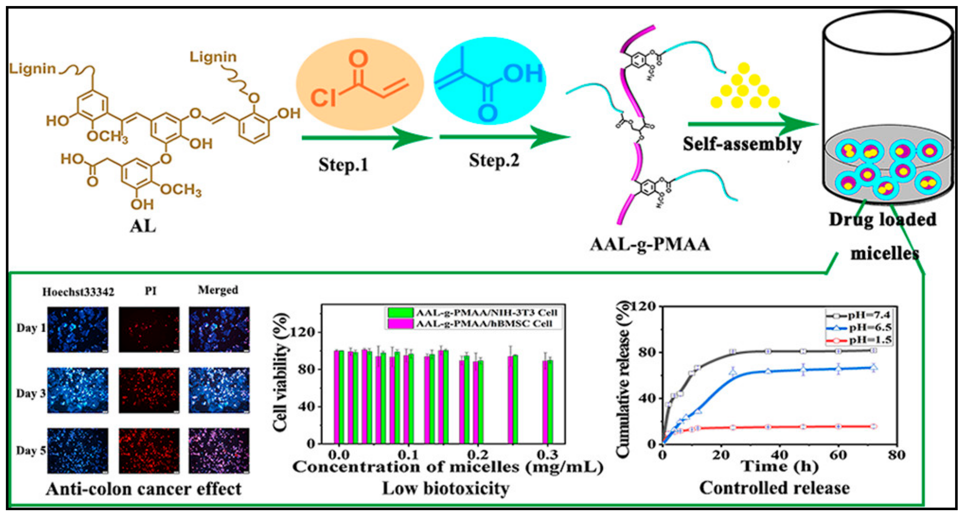 Nanomaterials 11 00070 g009 Nanomaterials 11 00070 g009