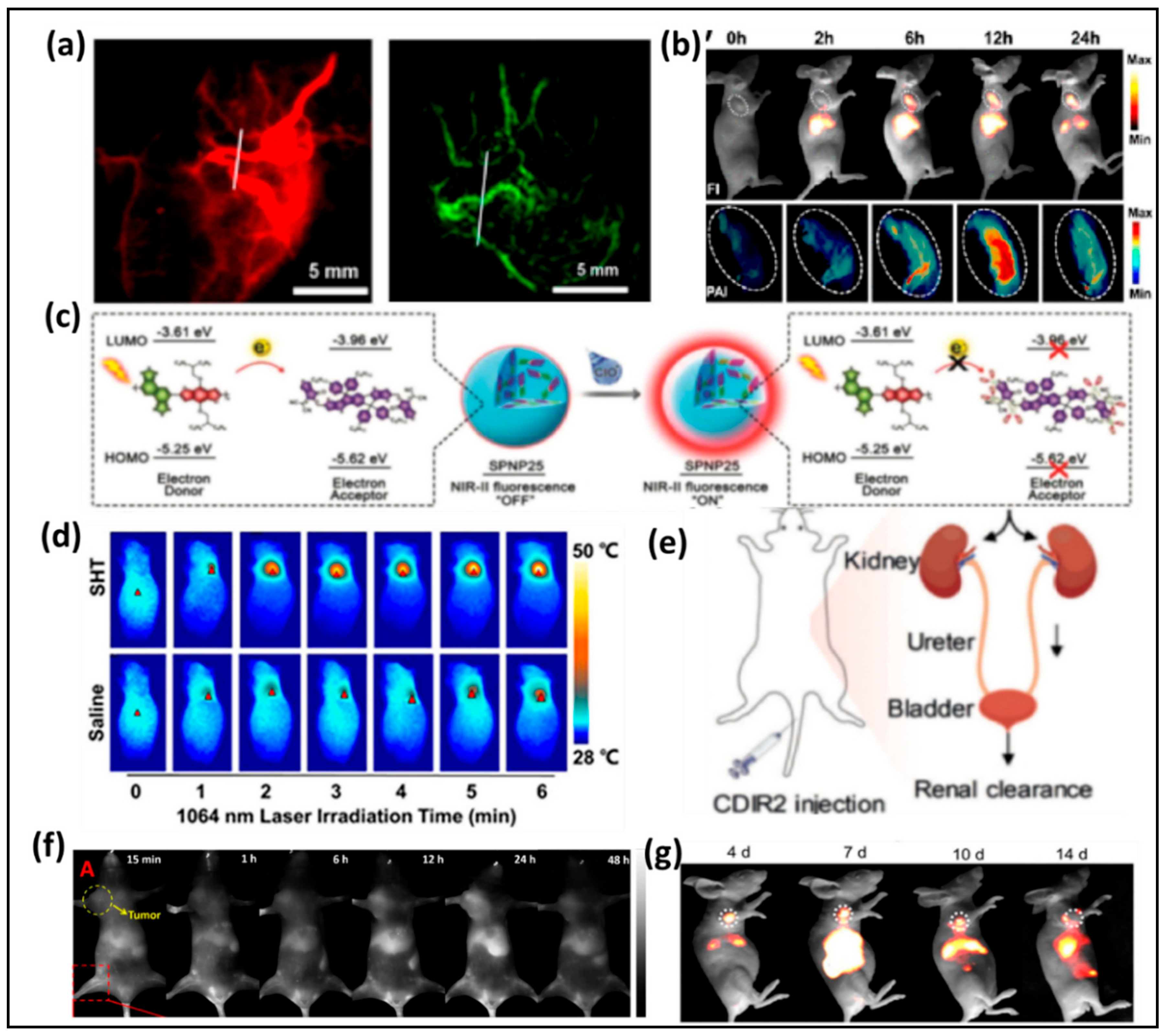 Nanomaterials 11 00070 g013 Nanomaterials 11 00070 g013
