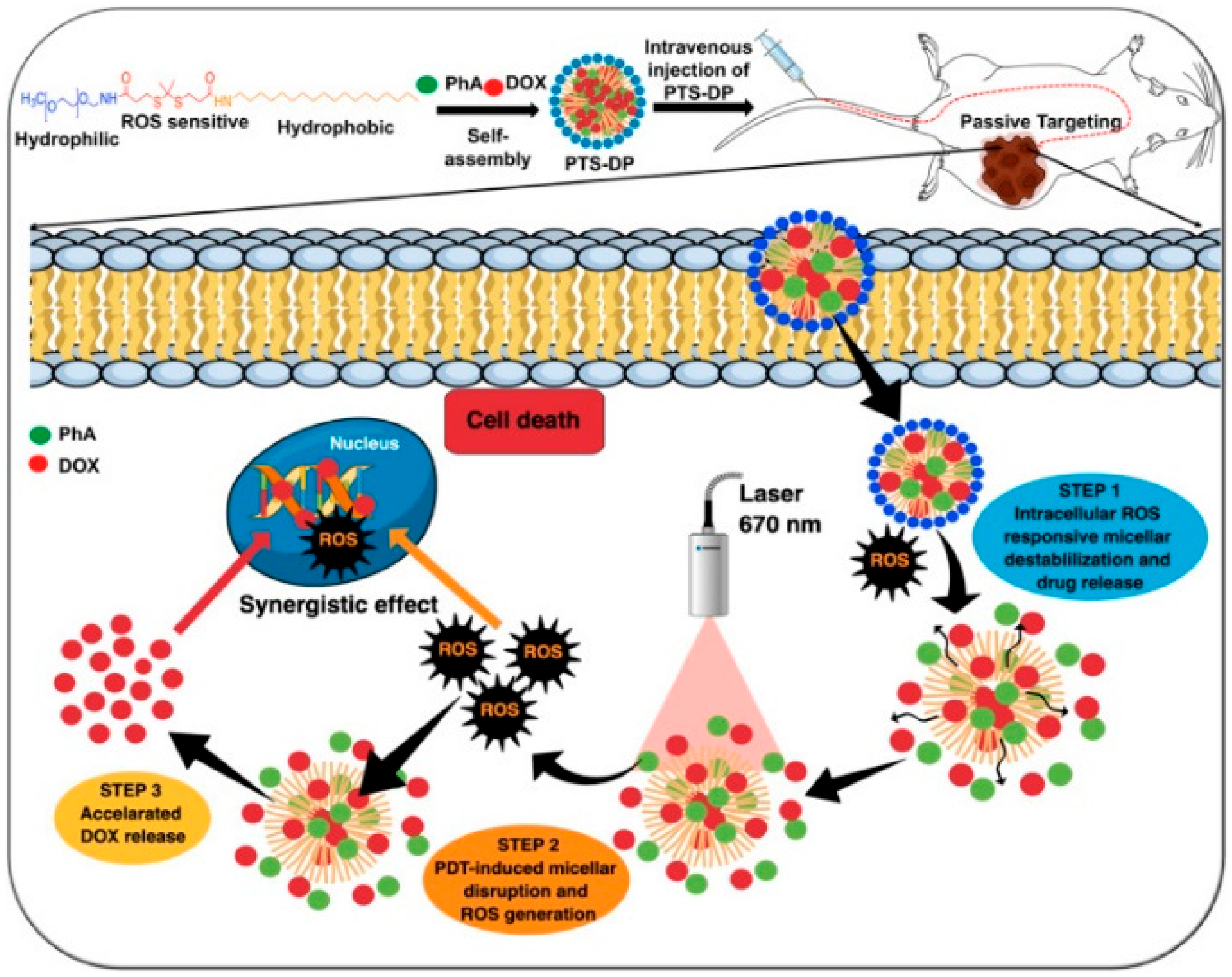 Nanomaterials 11 00070 g015 Nanomaterials 11 00070 g015
