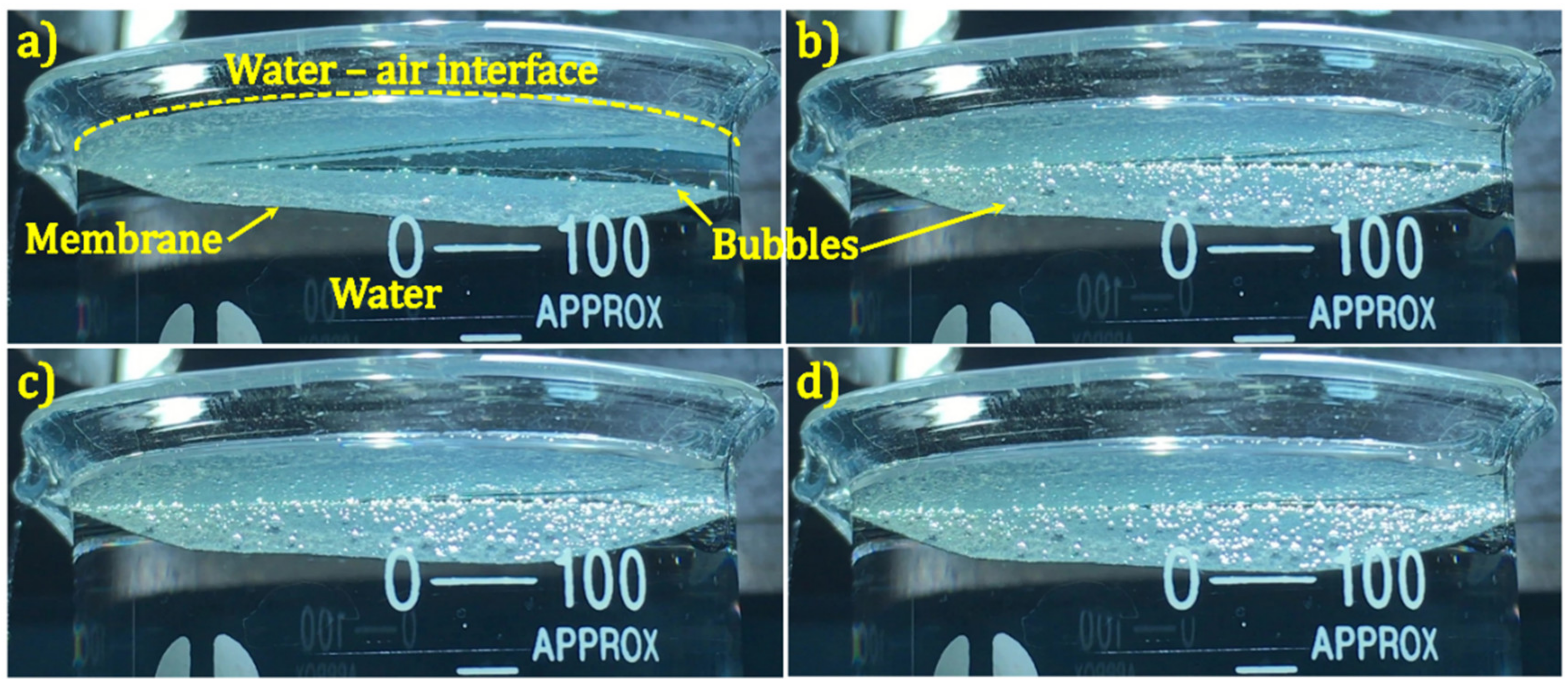 Nanomaterials 11 00076 g004 Nanomaterials 11 00076 g004