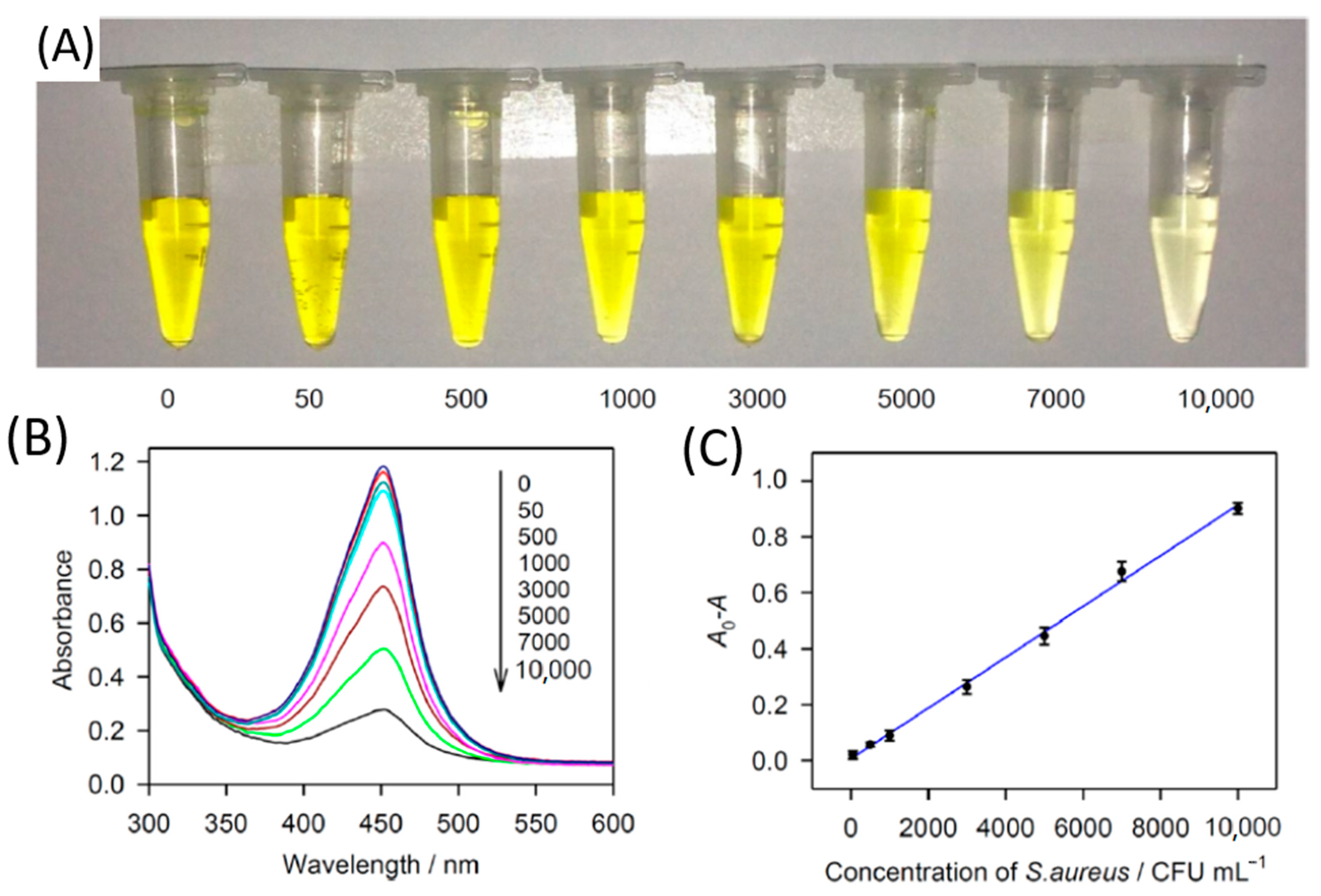 Nanomaterials 11 00082 g003 Nanomaterials 11 00082 g003
