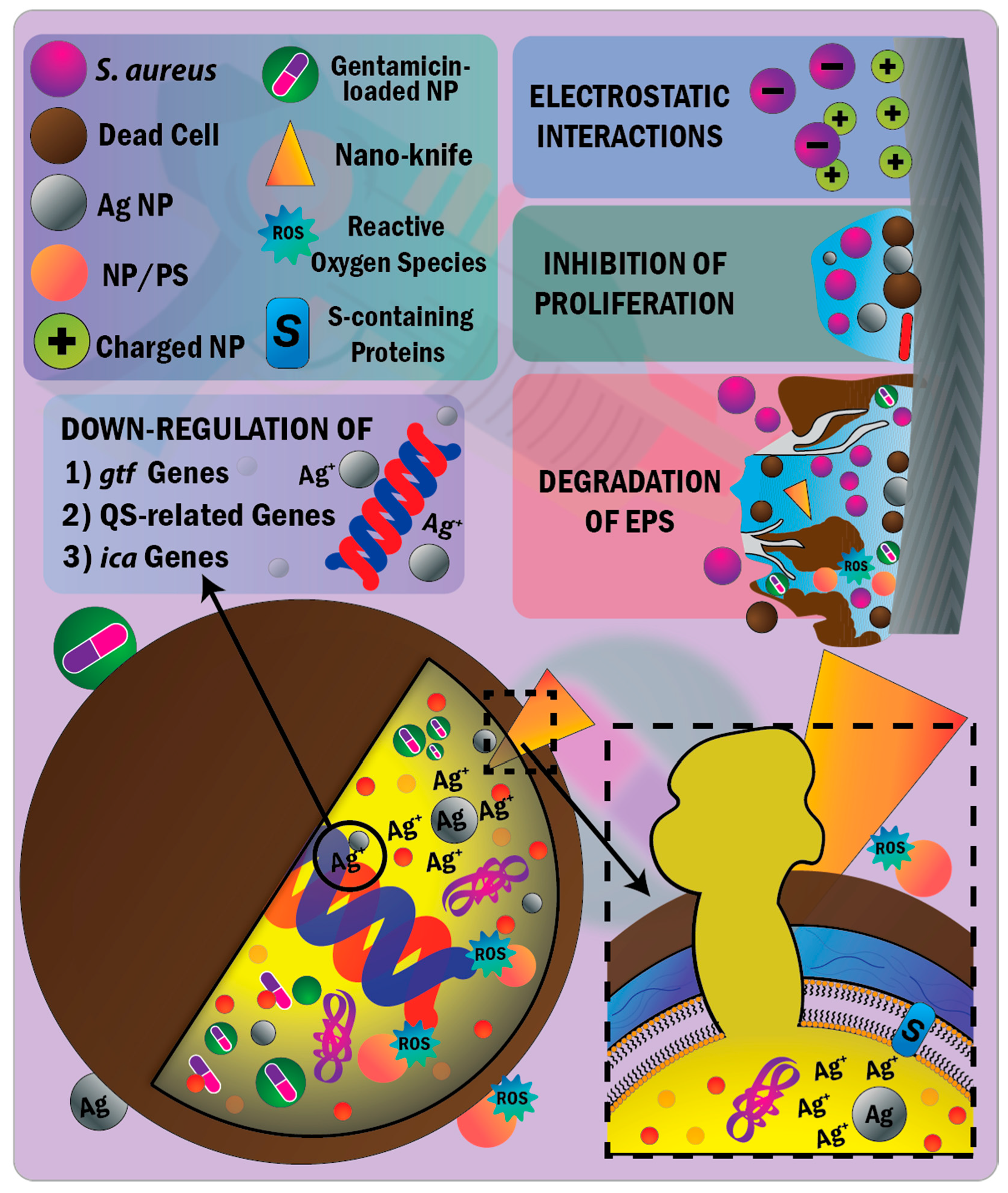 Nanomaterials 11 00082 g004 Nanomaterials 11 00082 g004