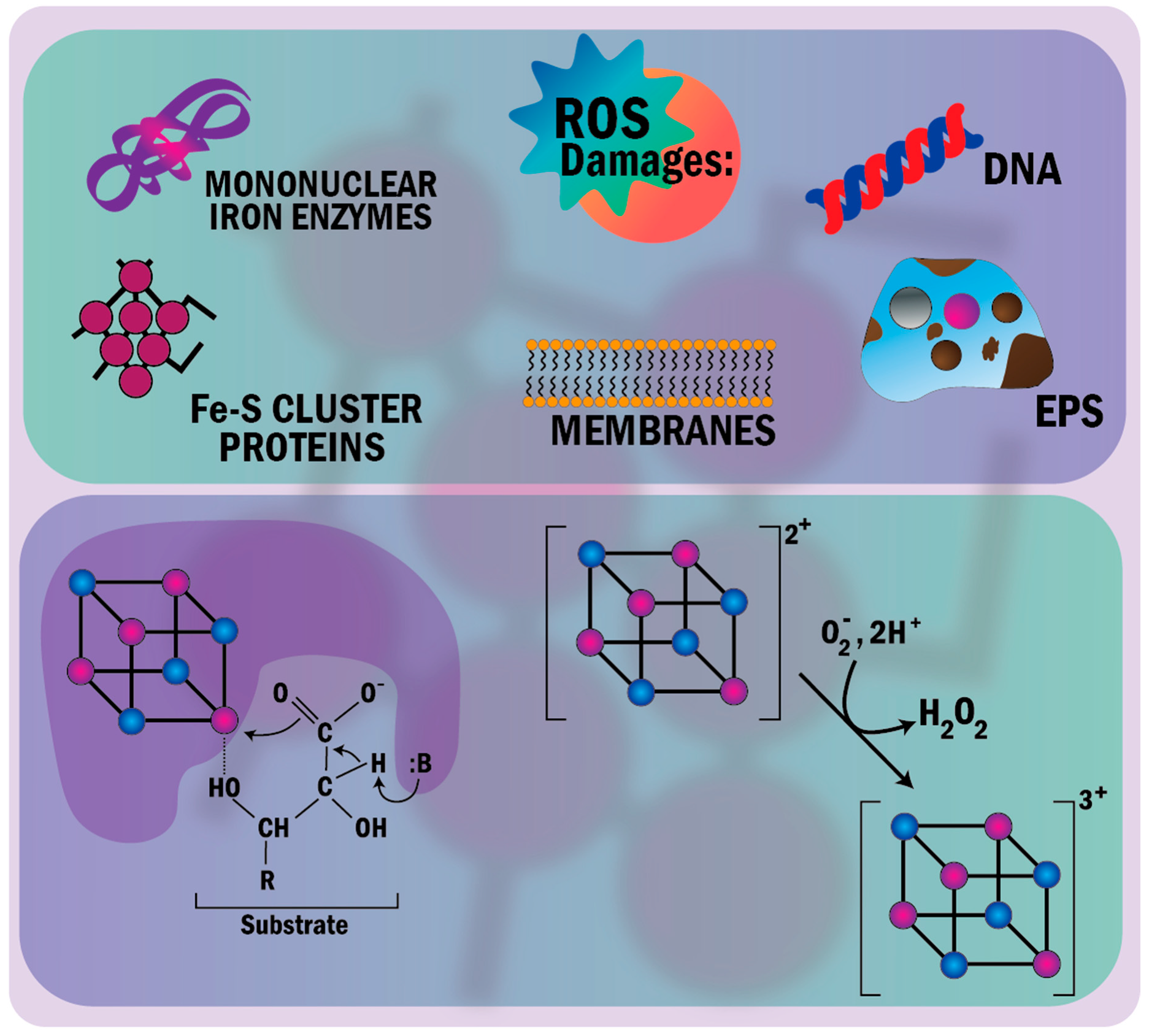 Nanomaterials 11 00082 g006 Nanomaterials 11 00082 g006