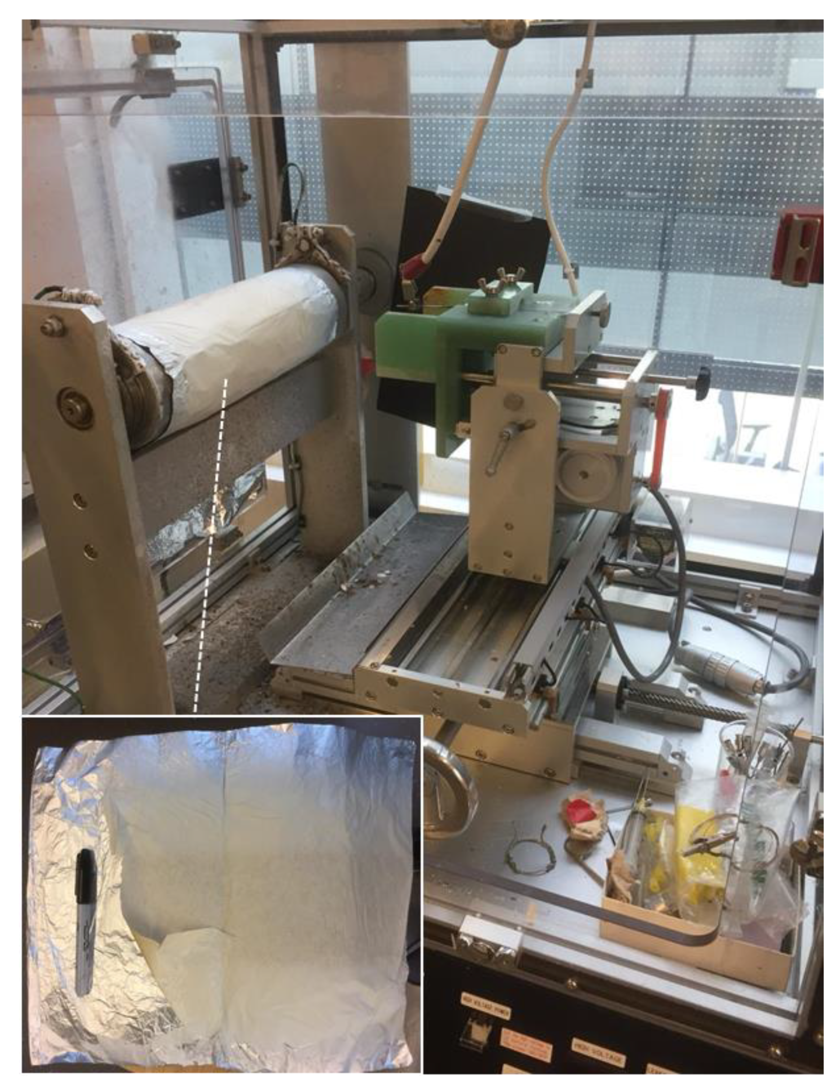 Nanomaterials 11 00084 g012