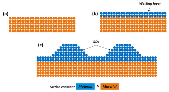 Nanomaterials 11 00085 g001 550