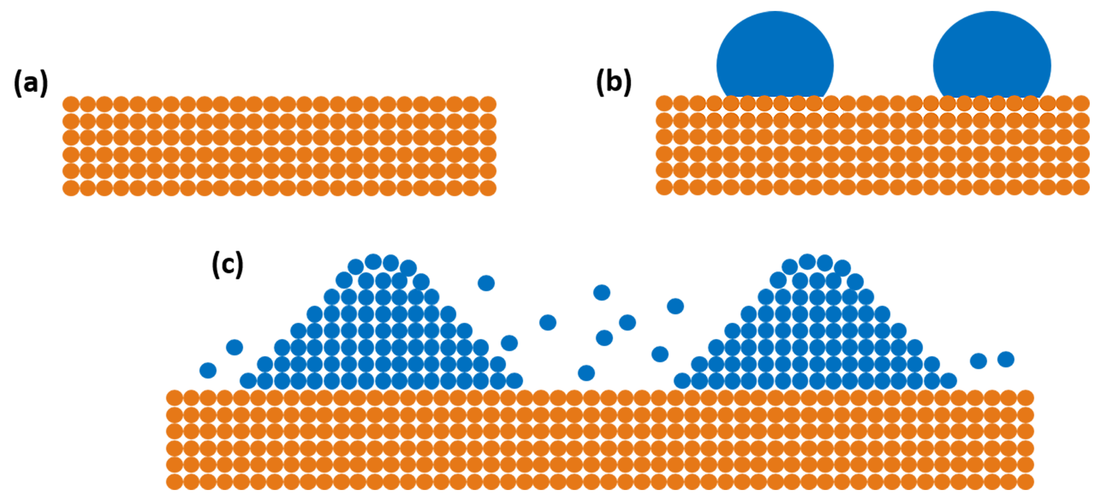 Nanomaterials 11 00085 g002