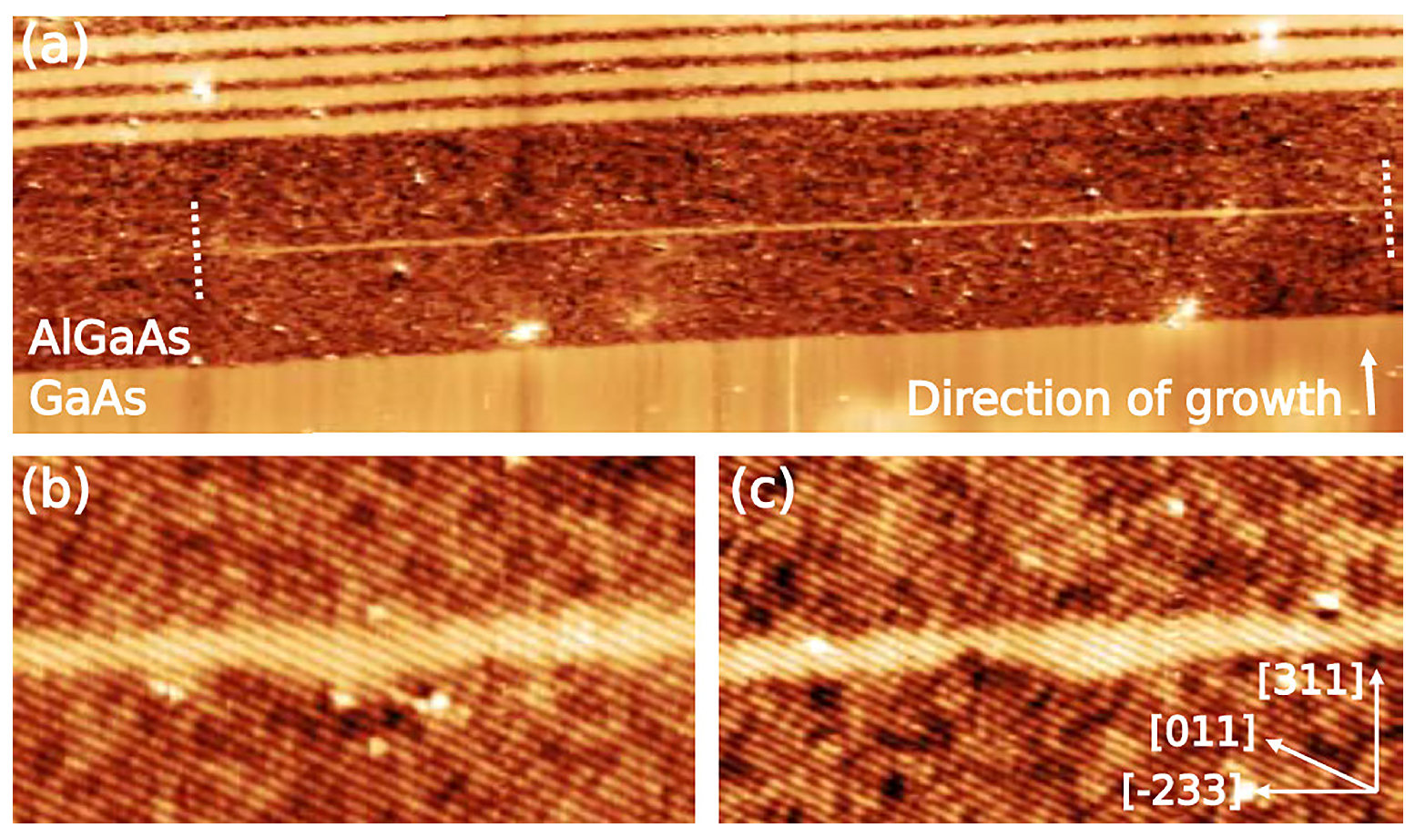 Nanomaterials 11 00085 g014