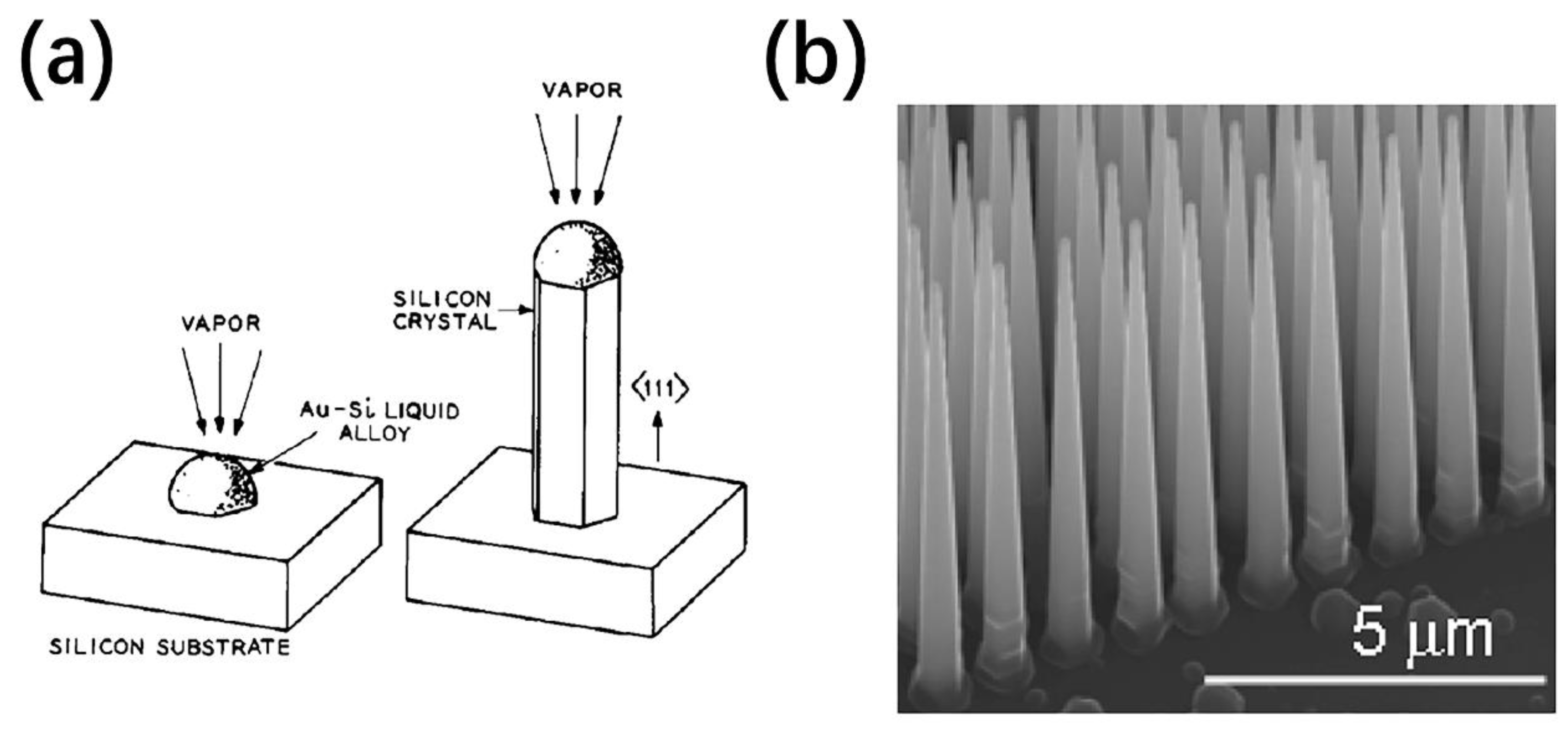 Nanomaterials 11 00090 g001