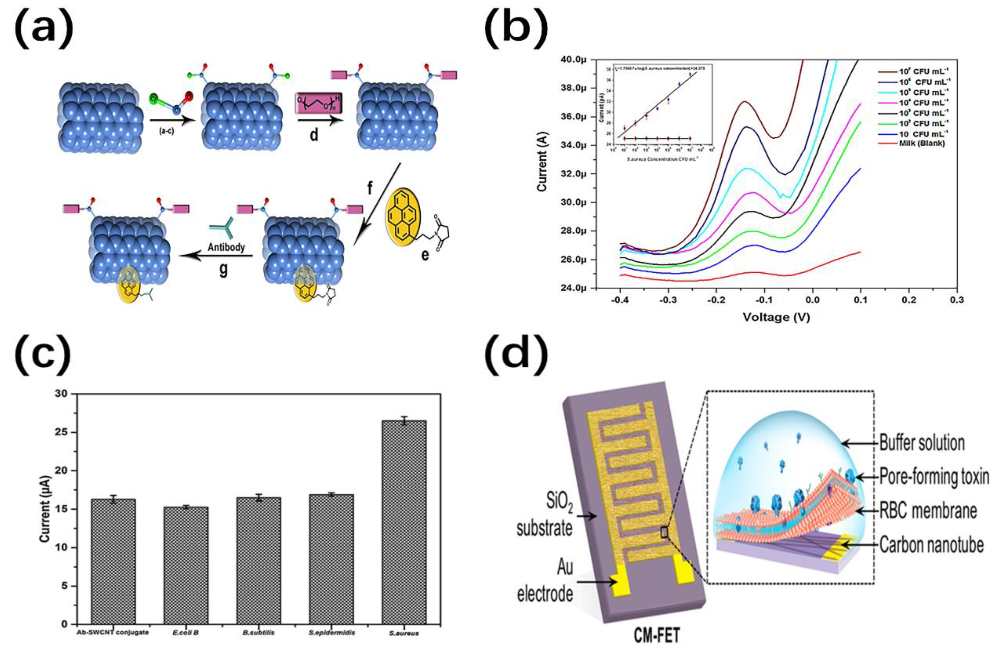 Nanomaterials 11 00090 g008
