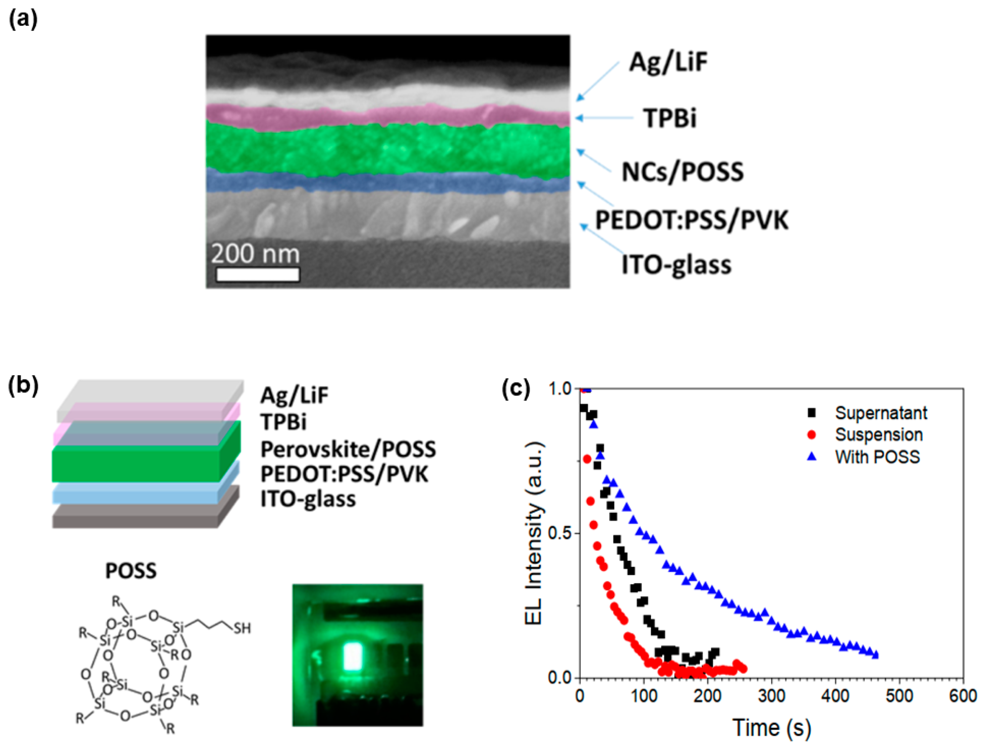 Nanomaterials 11 00103 g006