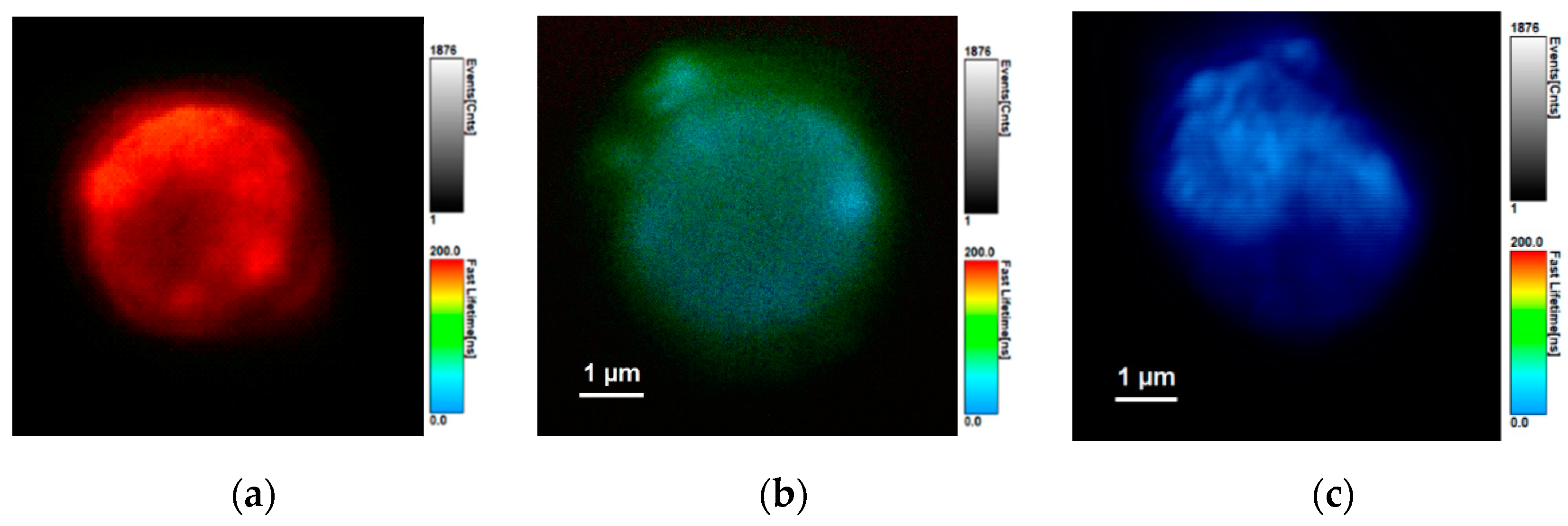 Nanomaterials 11 00109 g007 Nanomaterials 11 00109 g007