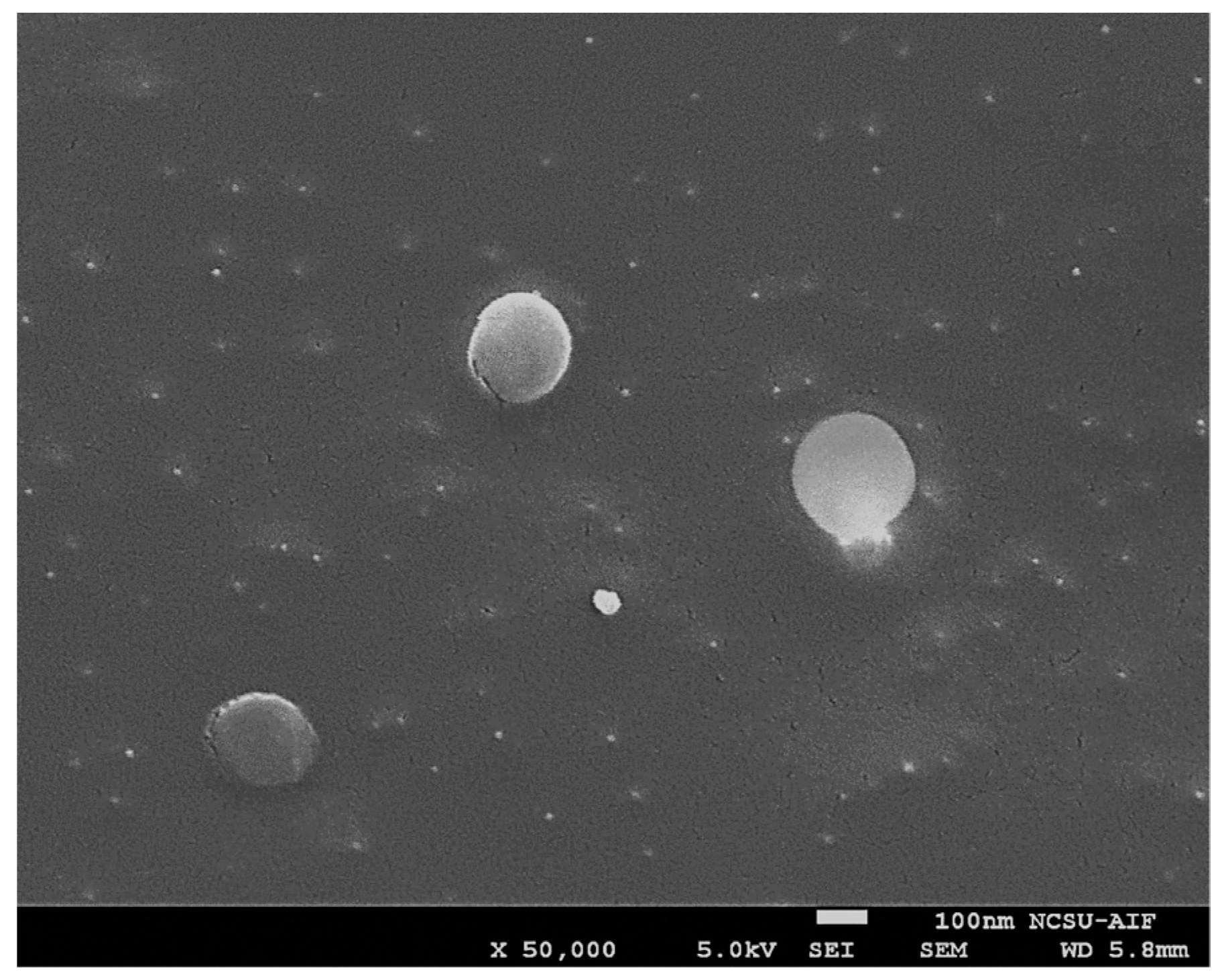 Nanomaterials 11 00111 g003 Nanomaterials 11 00111 g003