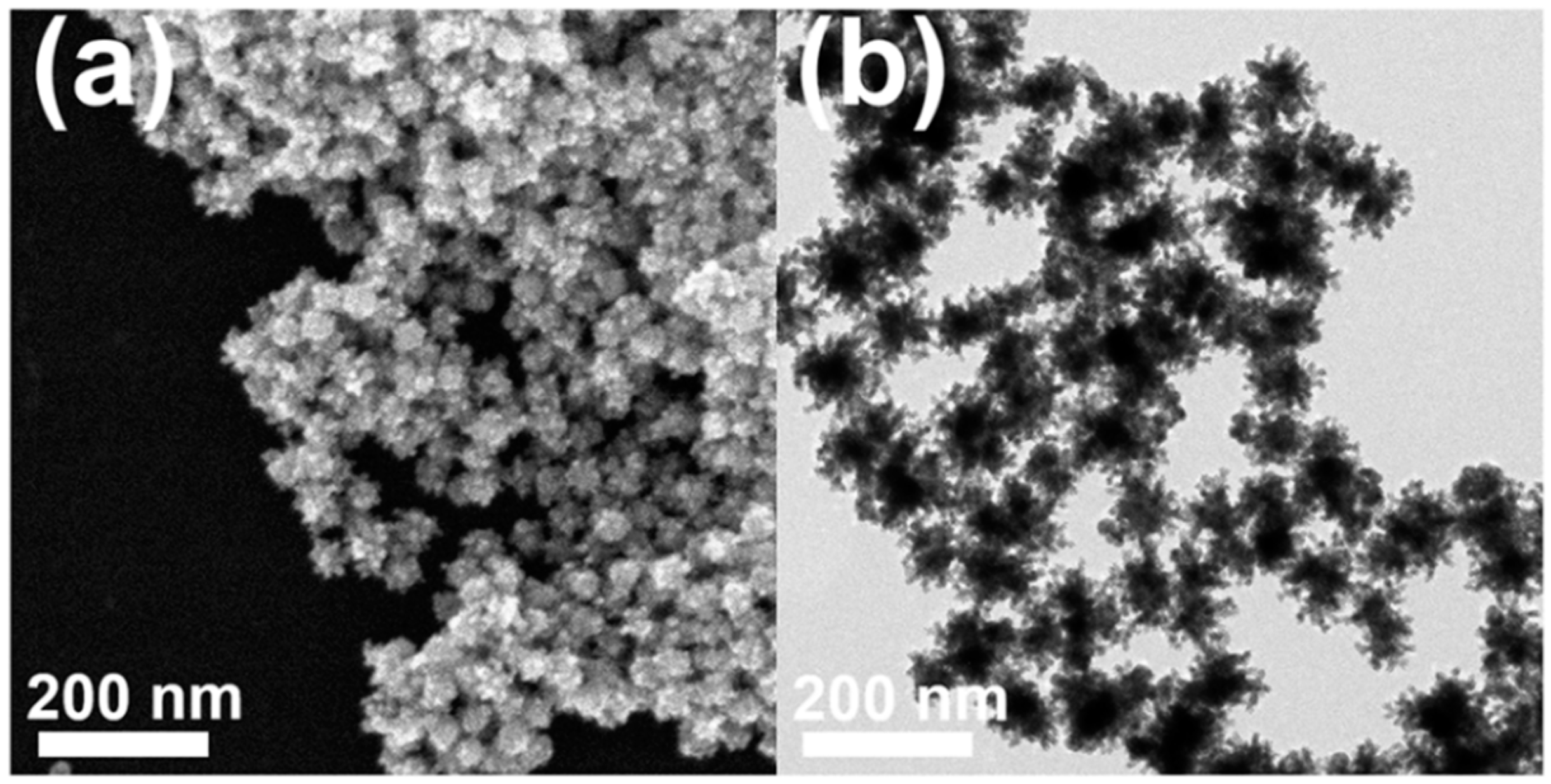 Nanomaterials 11 00112 g002 Nanomaterials 11 00112 g002