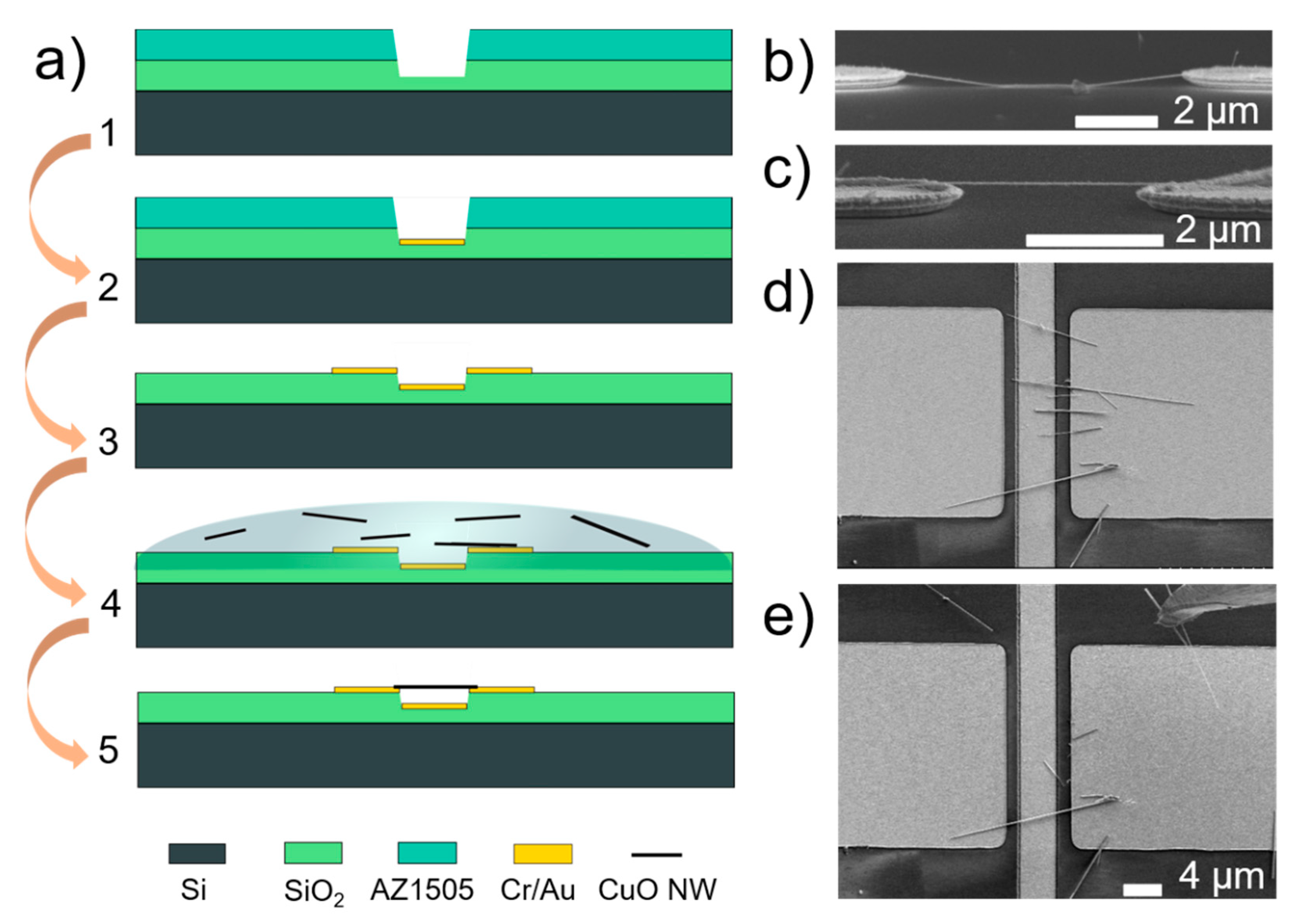 Nanomaterials 11 00117 g001 Nanomaterials 11 00117 g001