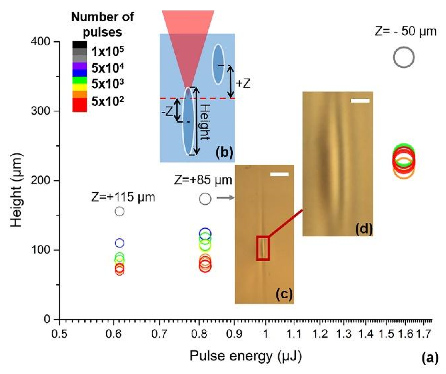 Nanomaterials 11 00123 g002