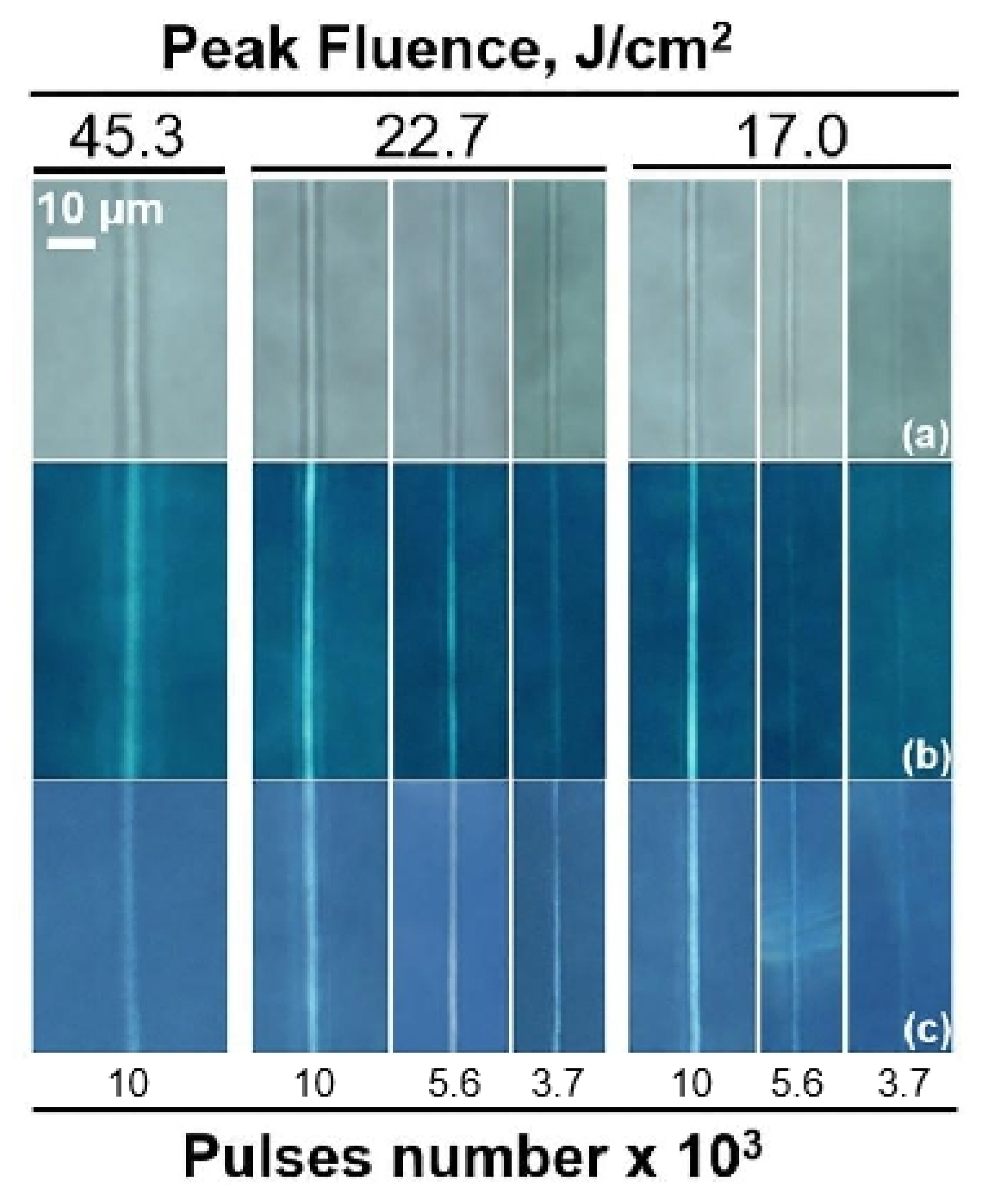 Nanomaterials 11 00123 g003