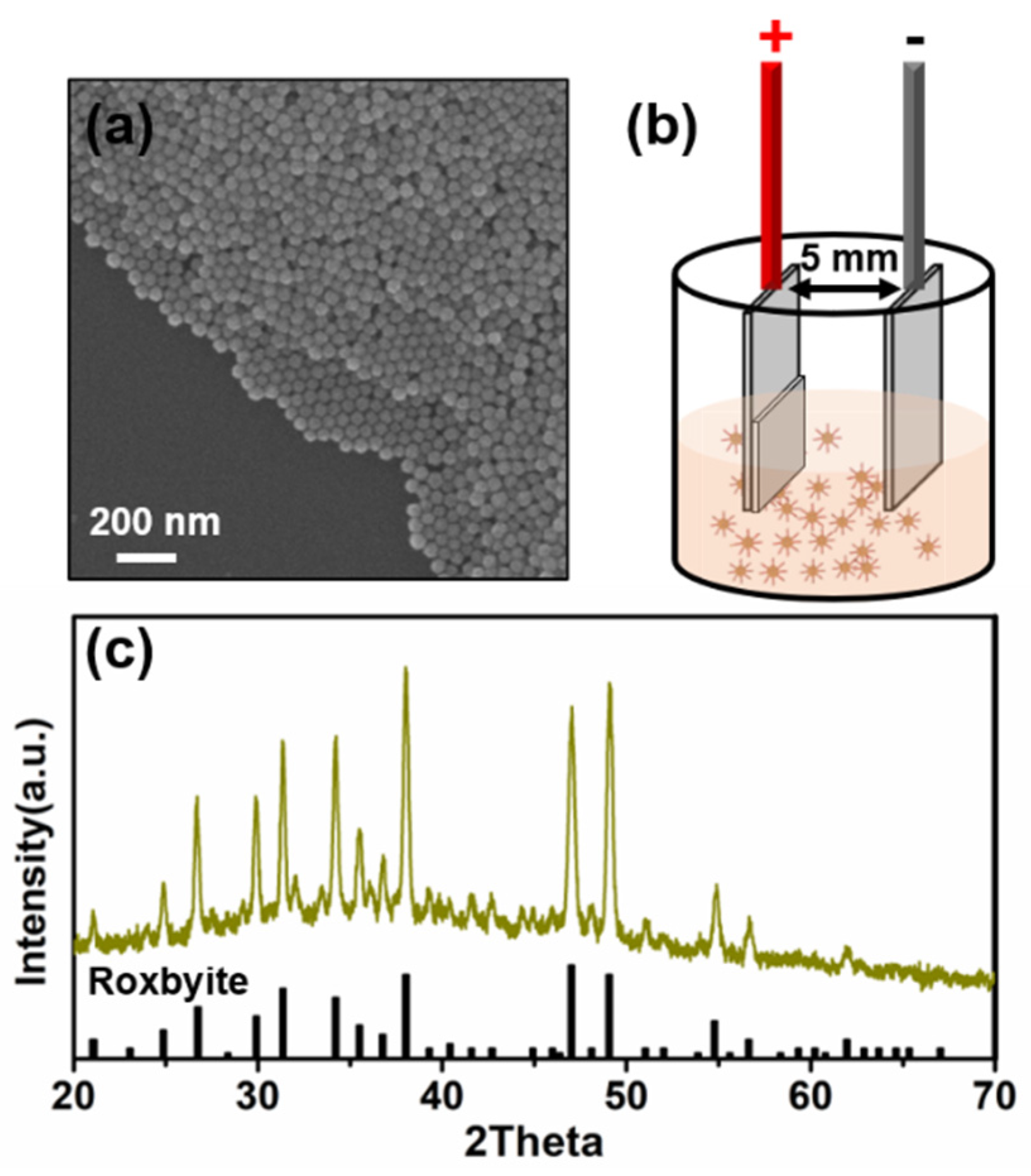 Nanomaterials 11 00133 g001