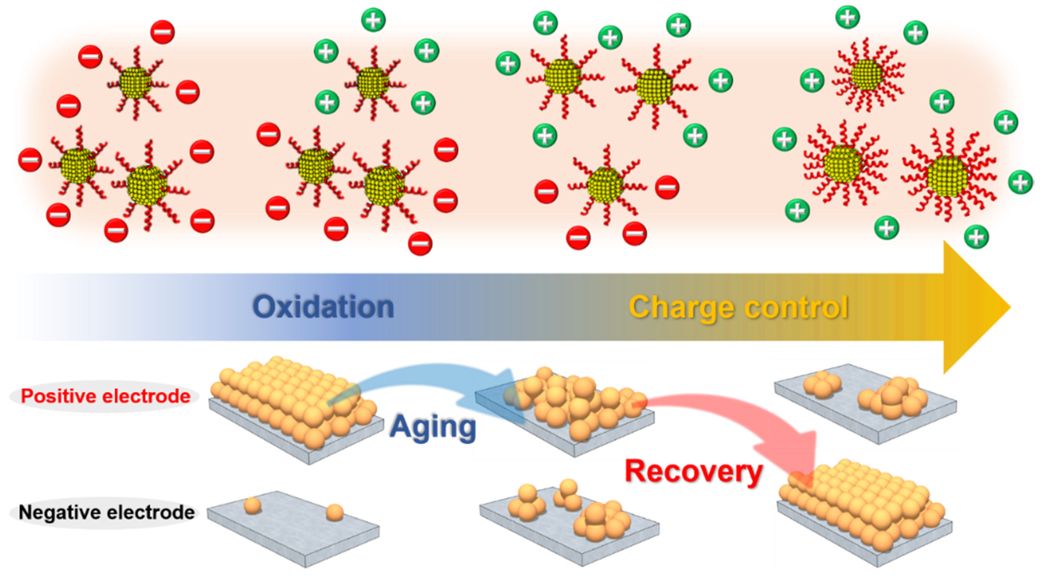 Nanomaterials 11 00133 sch001