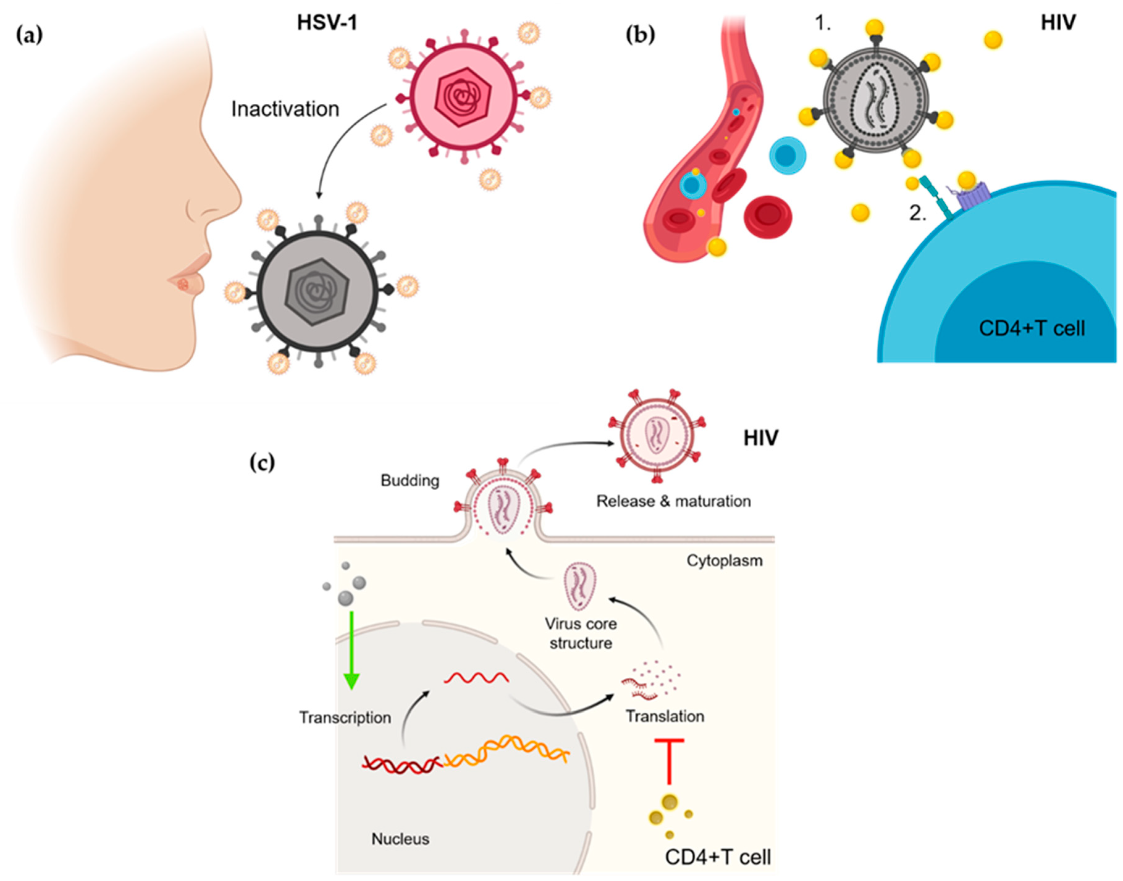 Nanomaterials 11 00137 g002