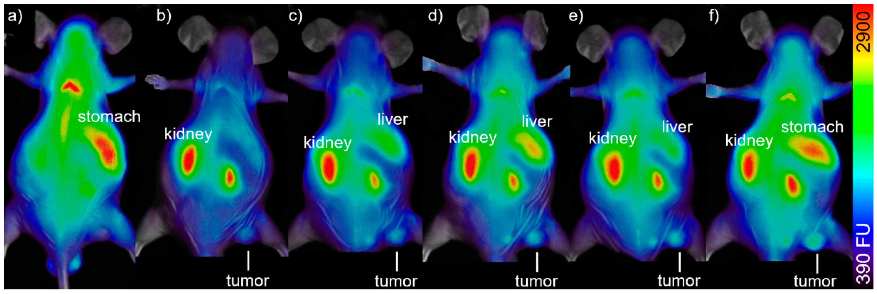 Nanomaterials 11 00138 g006 Nanomaterials 11 00138 g006