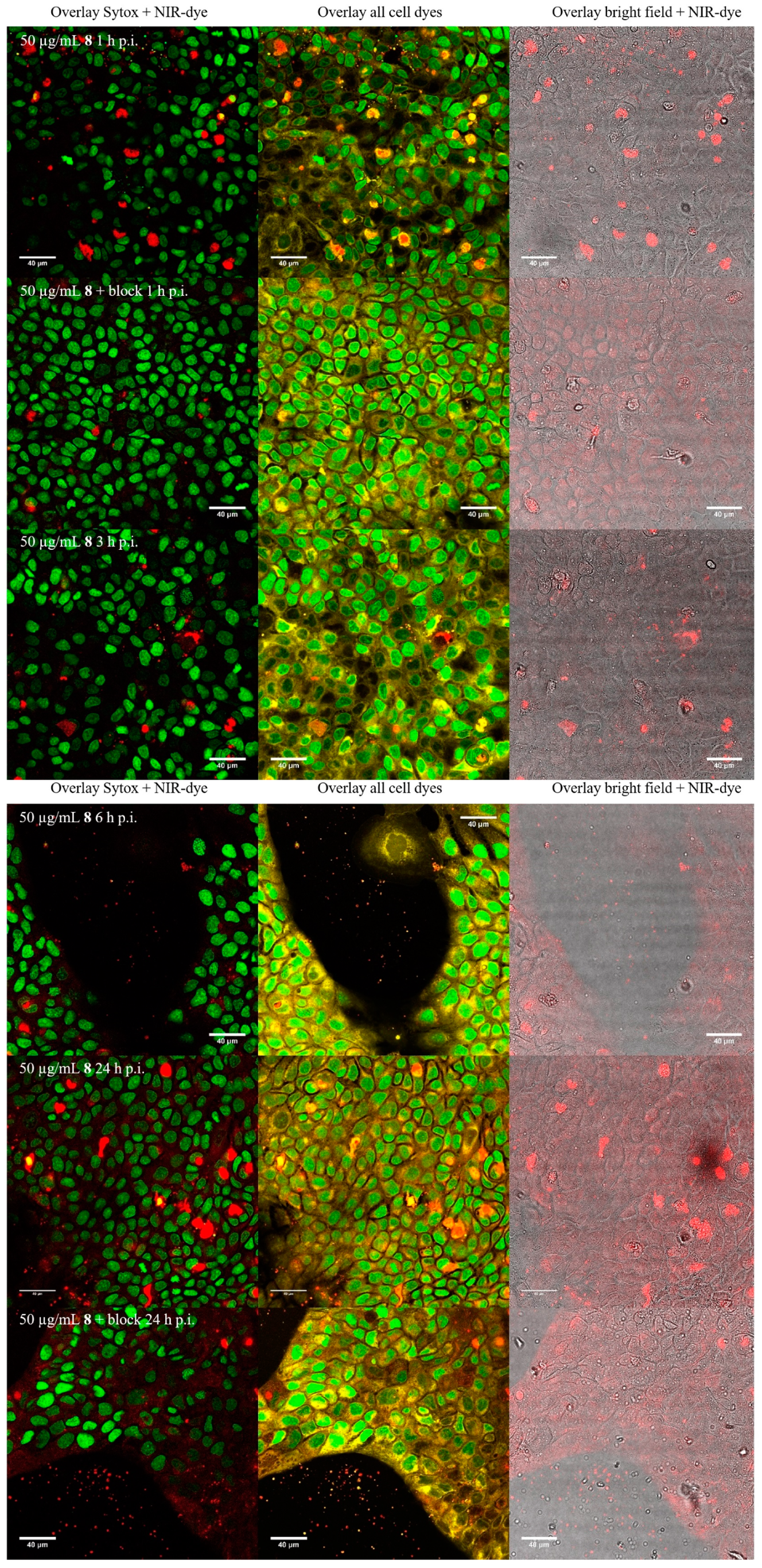 Nanomaterials 11 00138 g0a16 Nanomaterials 11 00138 g0a16