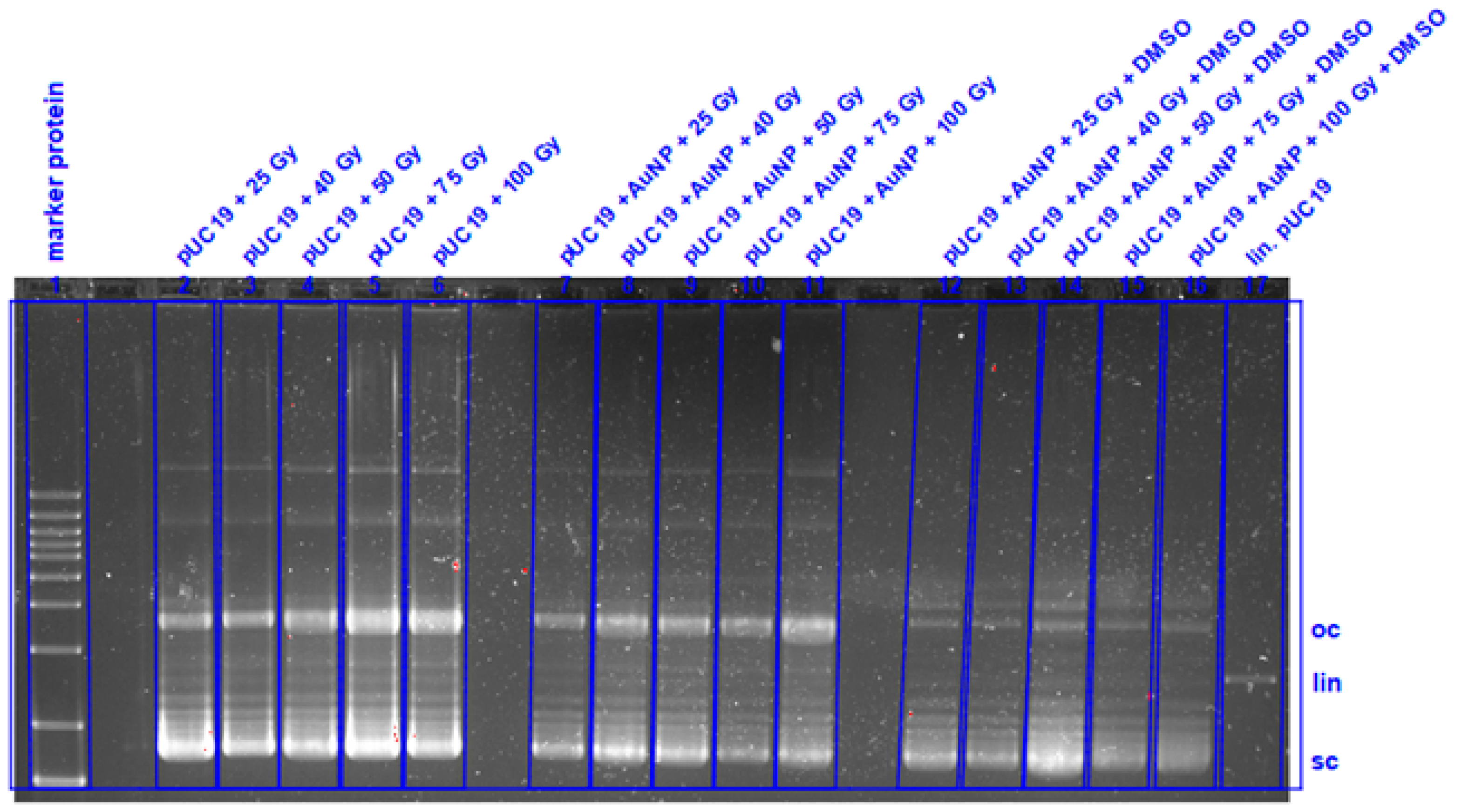 Nanomaterials 11 00138 g0a17 Nanomaterials 11 00138 g0a17