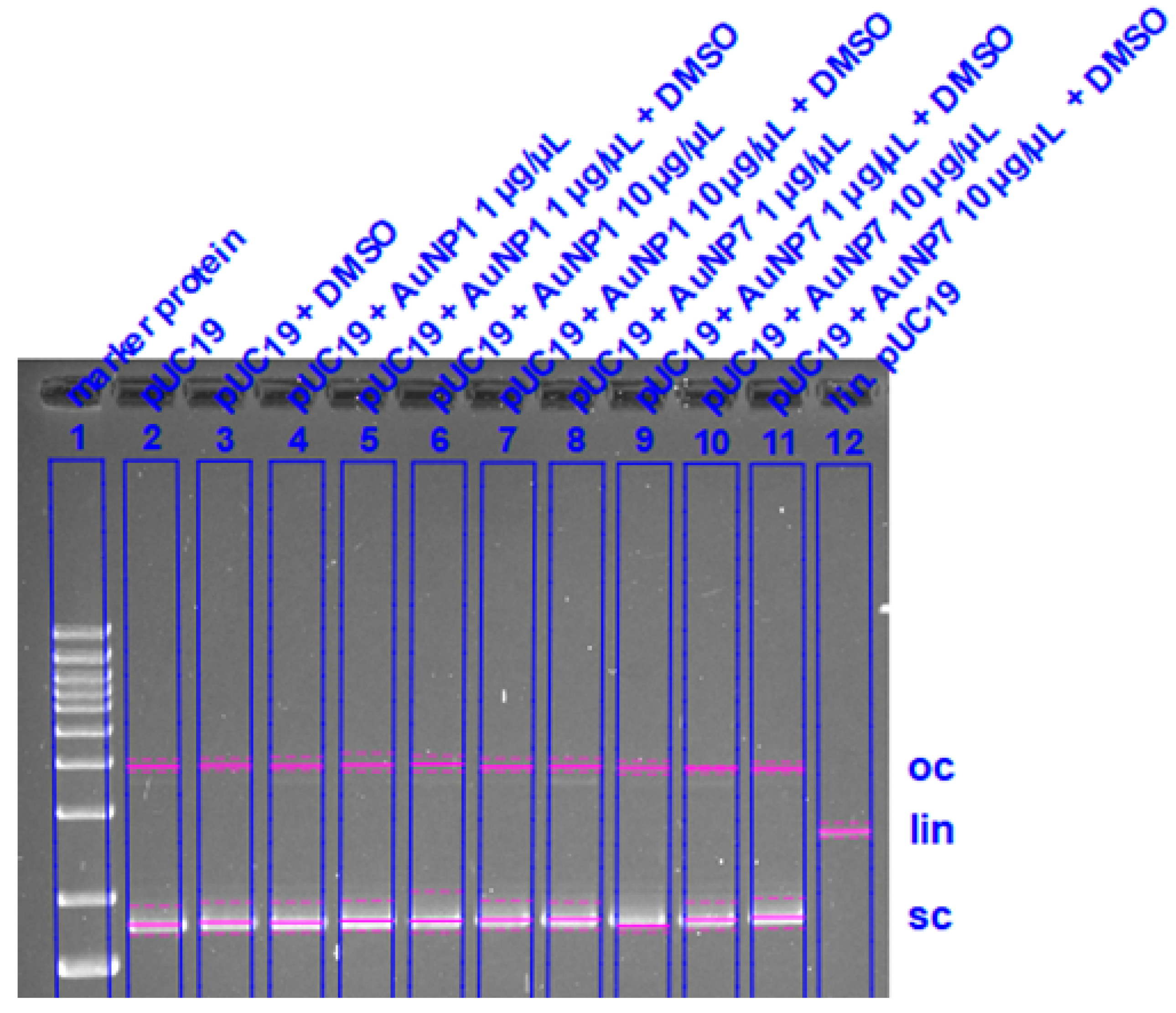 Nanomaterials 11 00138 g0a19 Nanomaterials 11 00138 g0a19
