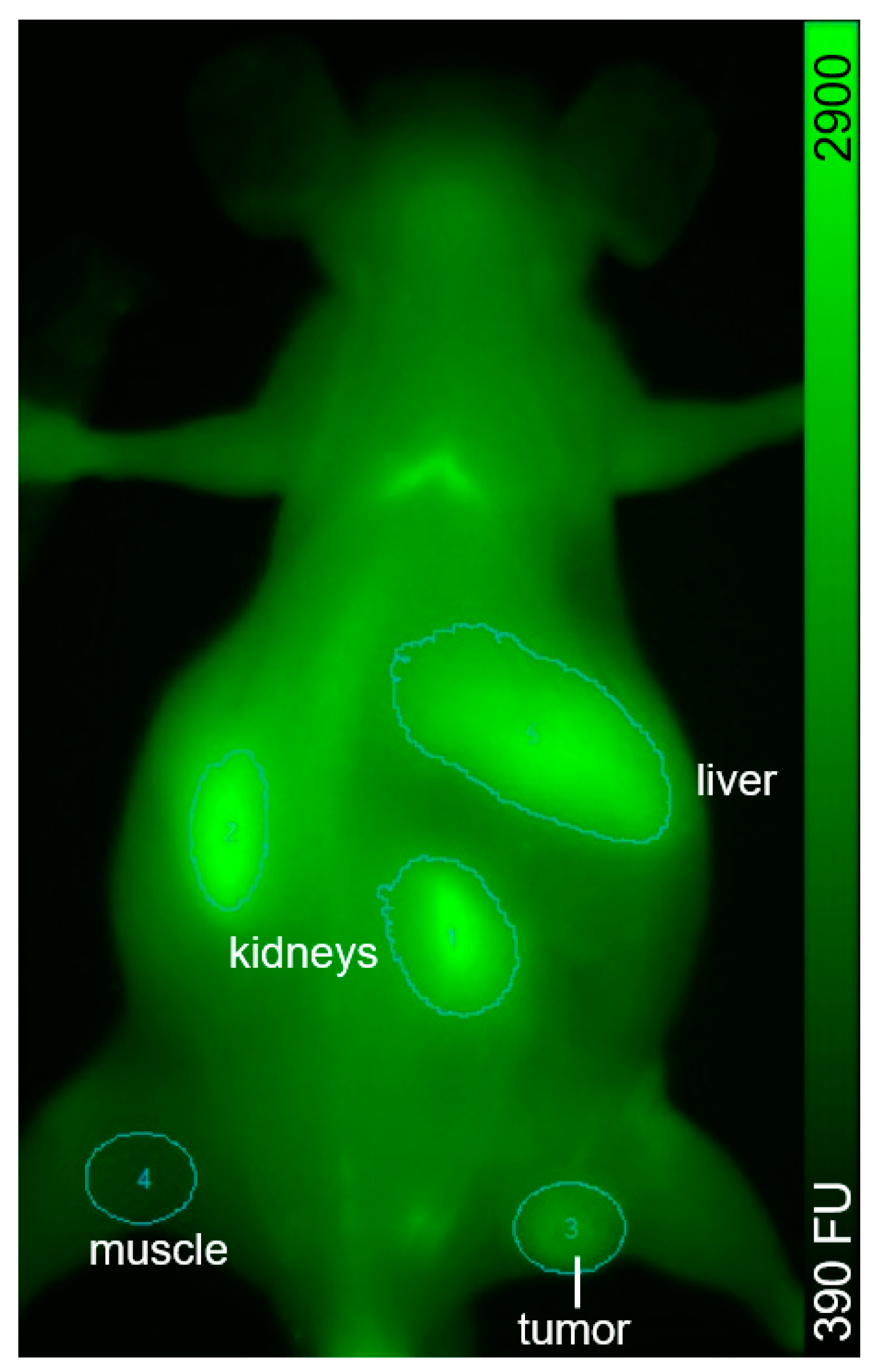 Nanomaterials 11 00138 g0a23 Nanomaterials 11 00138 g0a23