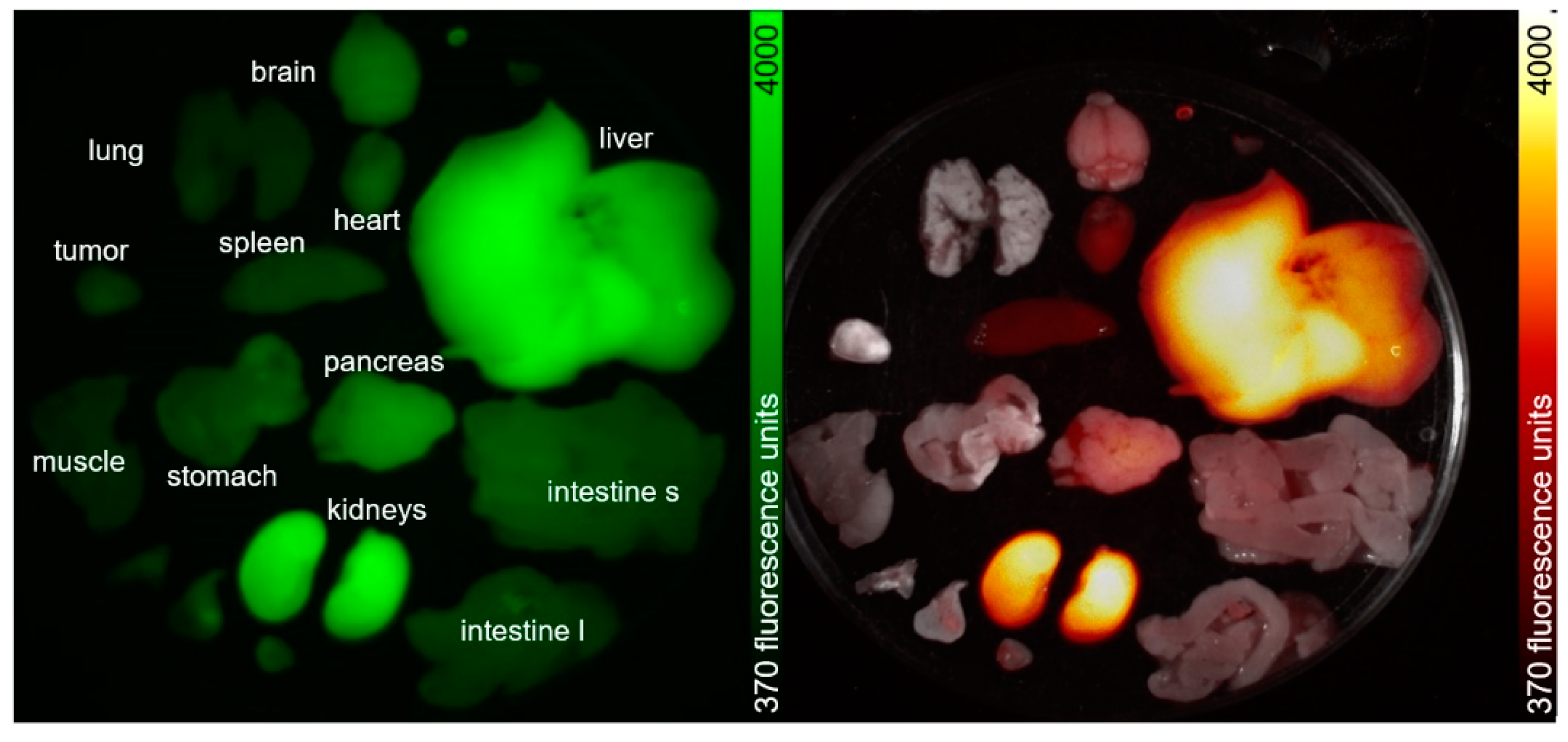 Nanomaterials 11 00138 g0a24 Nanomaterials 11 00138 g0a24