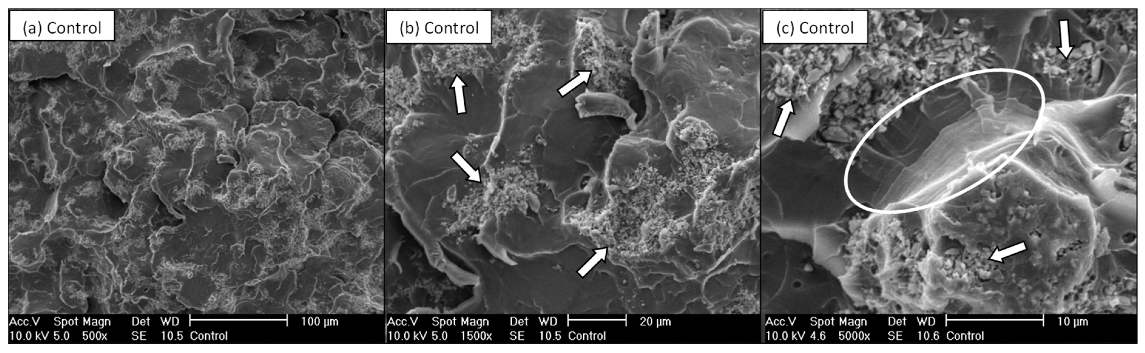 Nanomaterials 11 00139 g005
